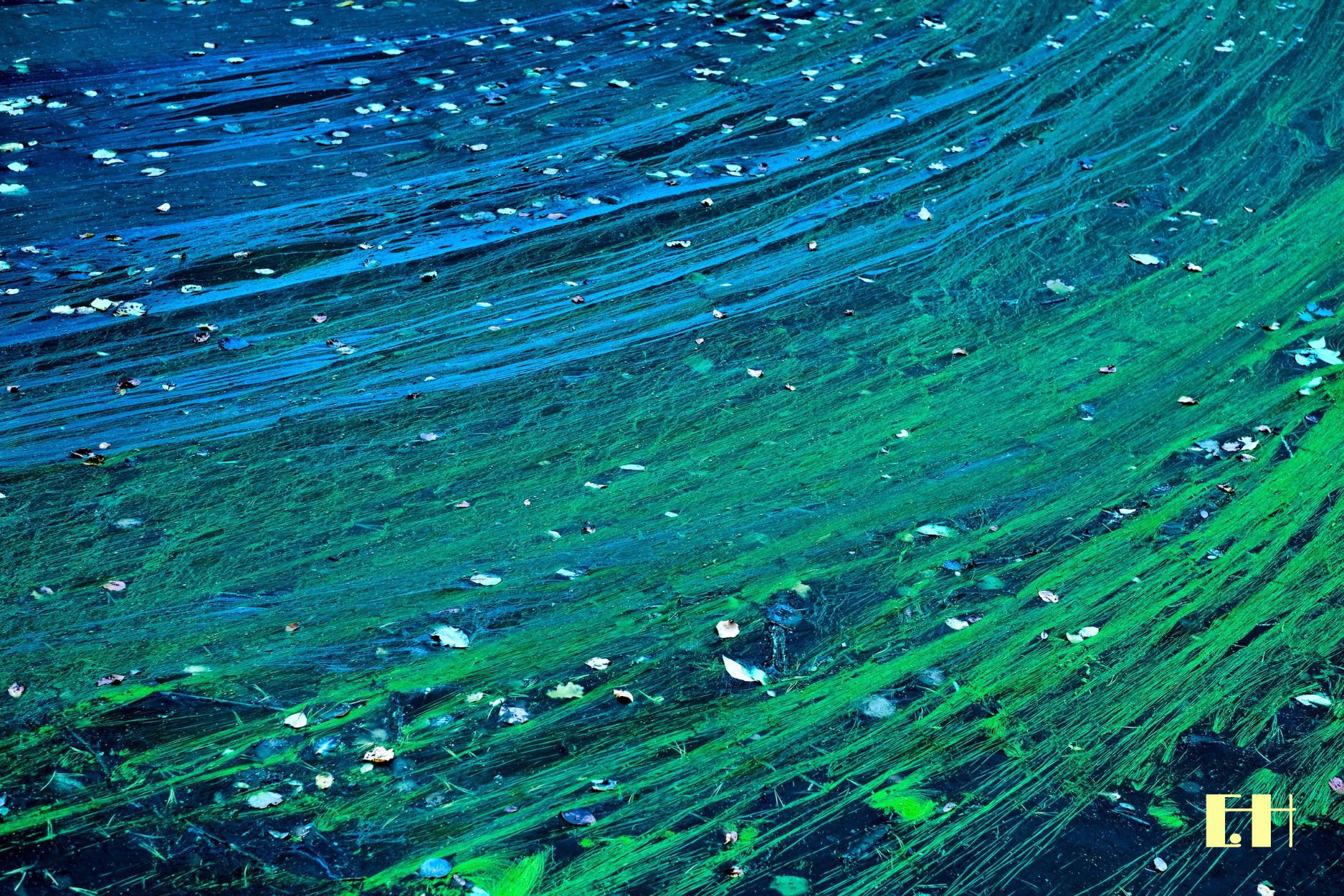 Silentium - 5