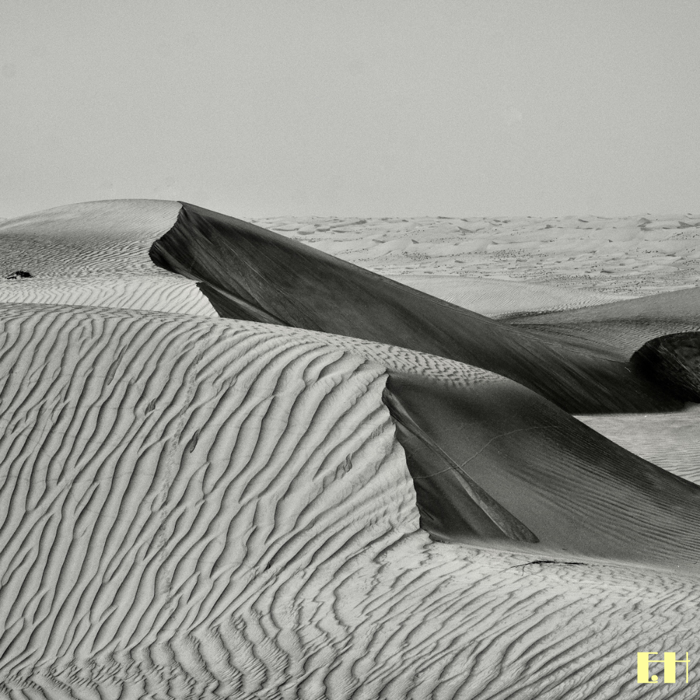 Schwarz-Weiß Nachaufnahme einer windgeformten Sanddünen und natürliche Strukturen aus der fotografischen Serie Silentium.