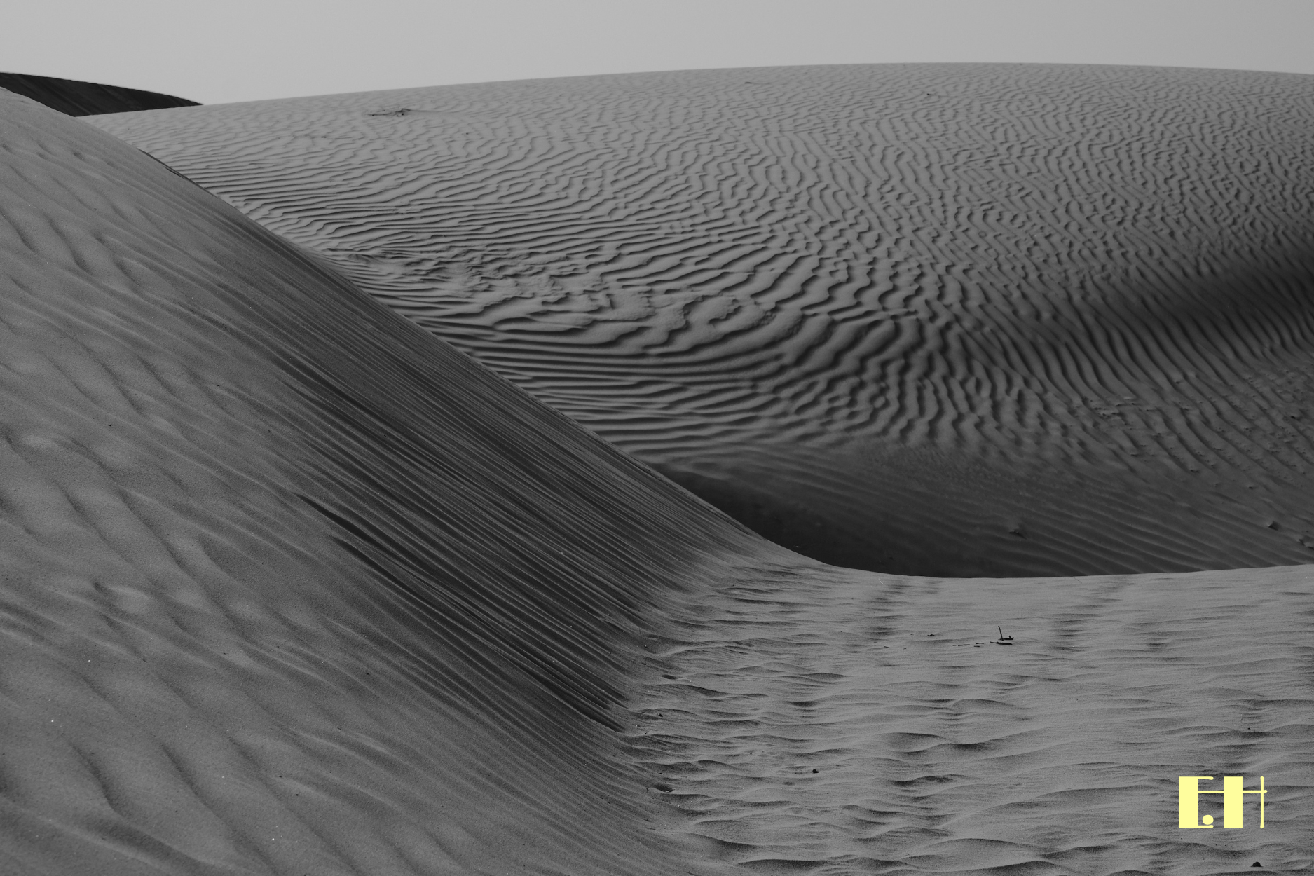 Silentium - 13