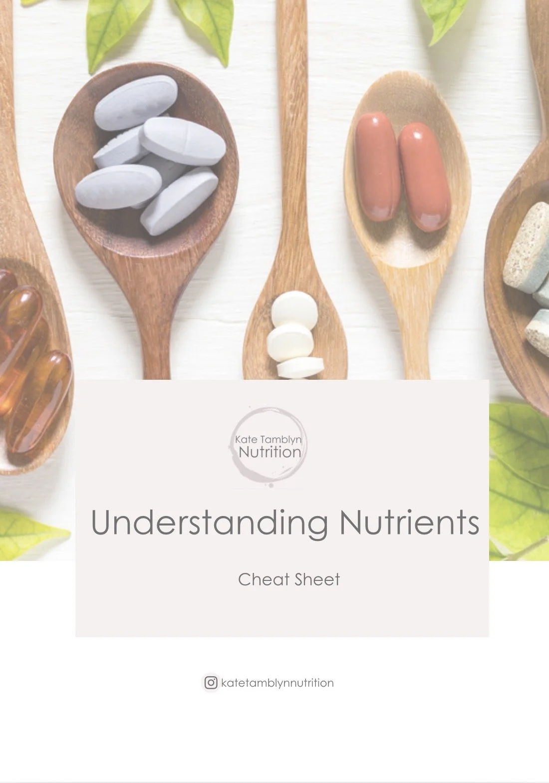 Understanding Nutrients Cheat Sheet