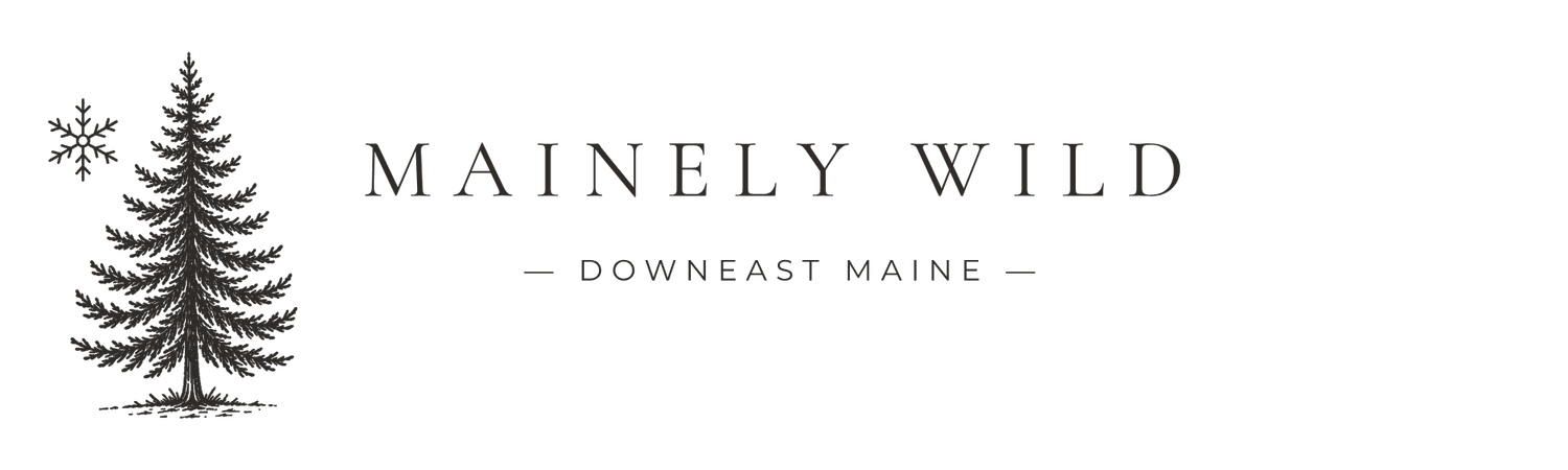 Mainely Wild