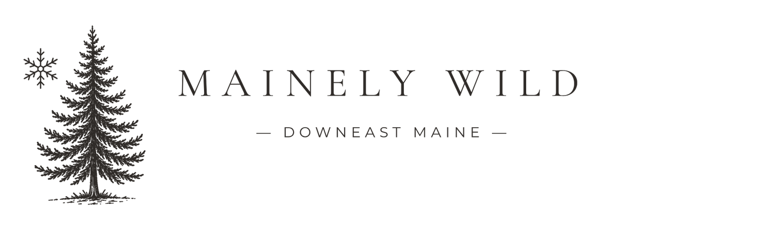 Mainely Wild