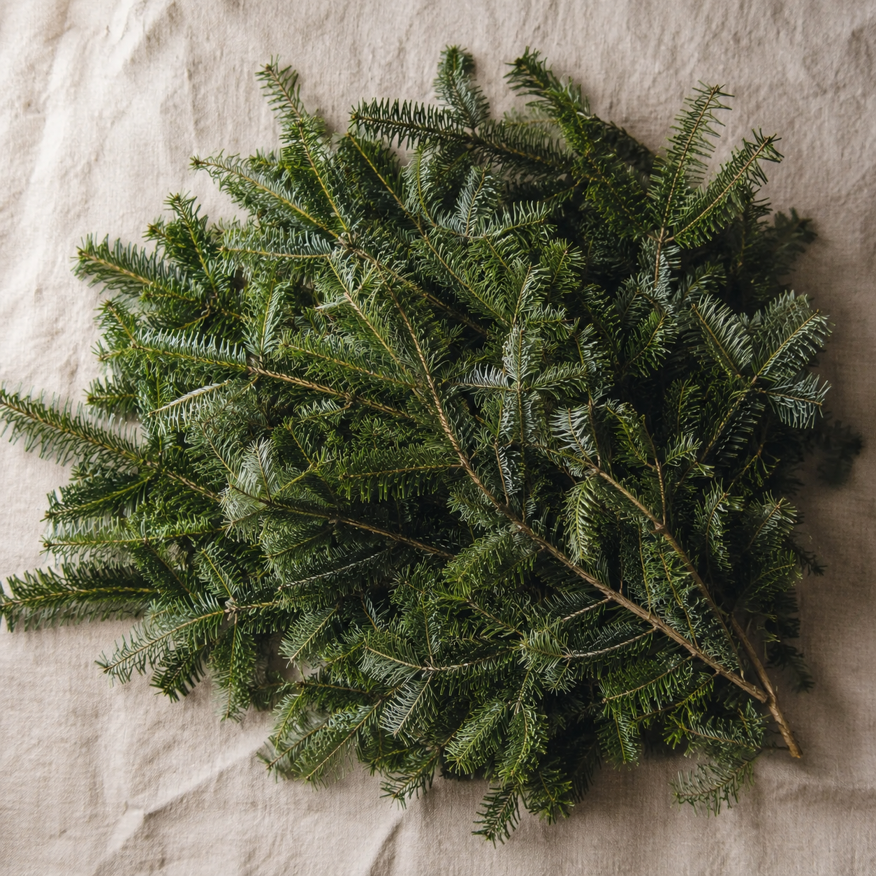 Boughs 2.png
