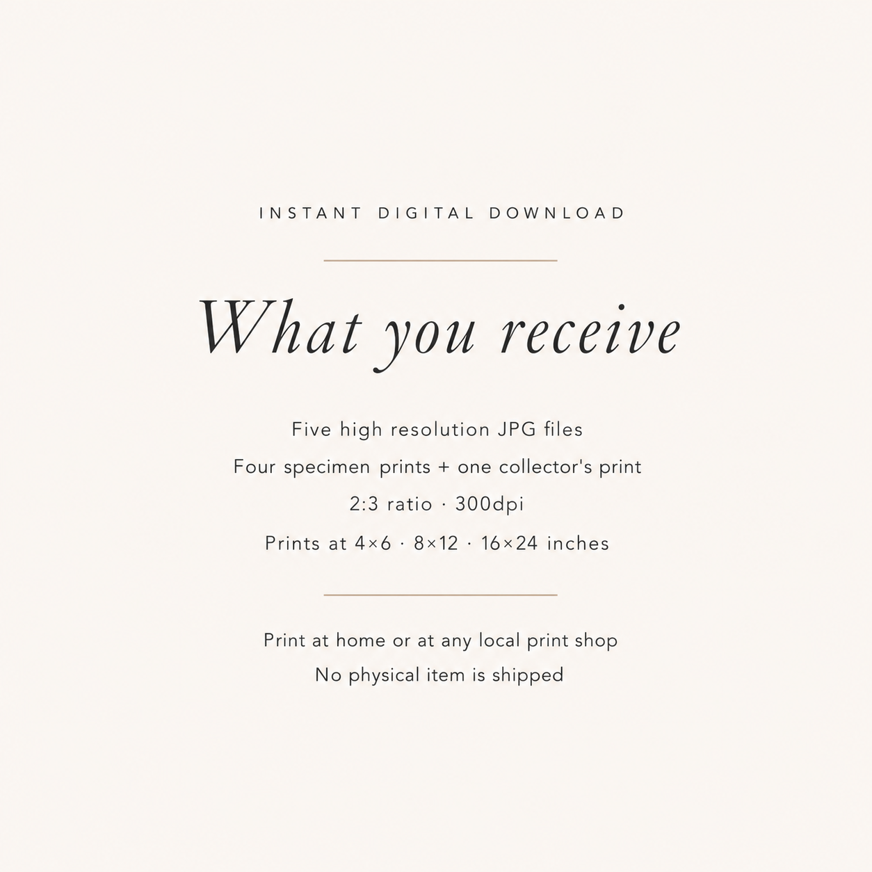 What you receive.png