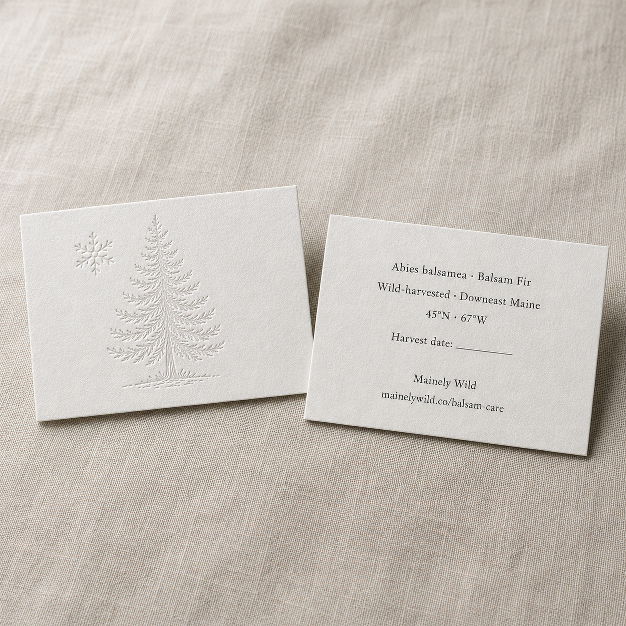 Card.png (Copy)
