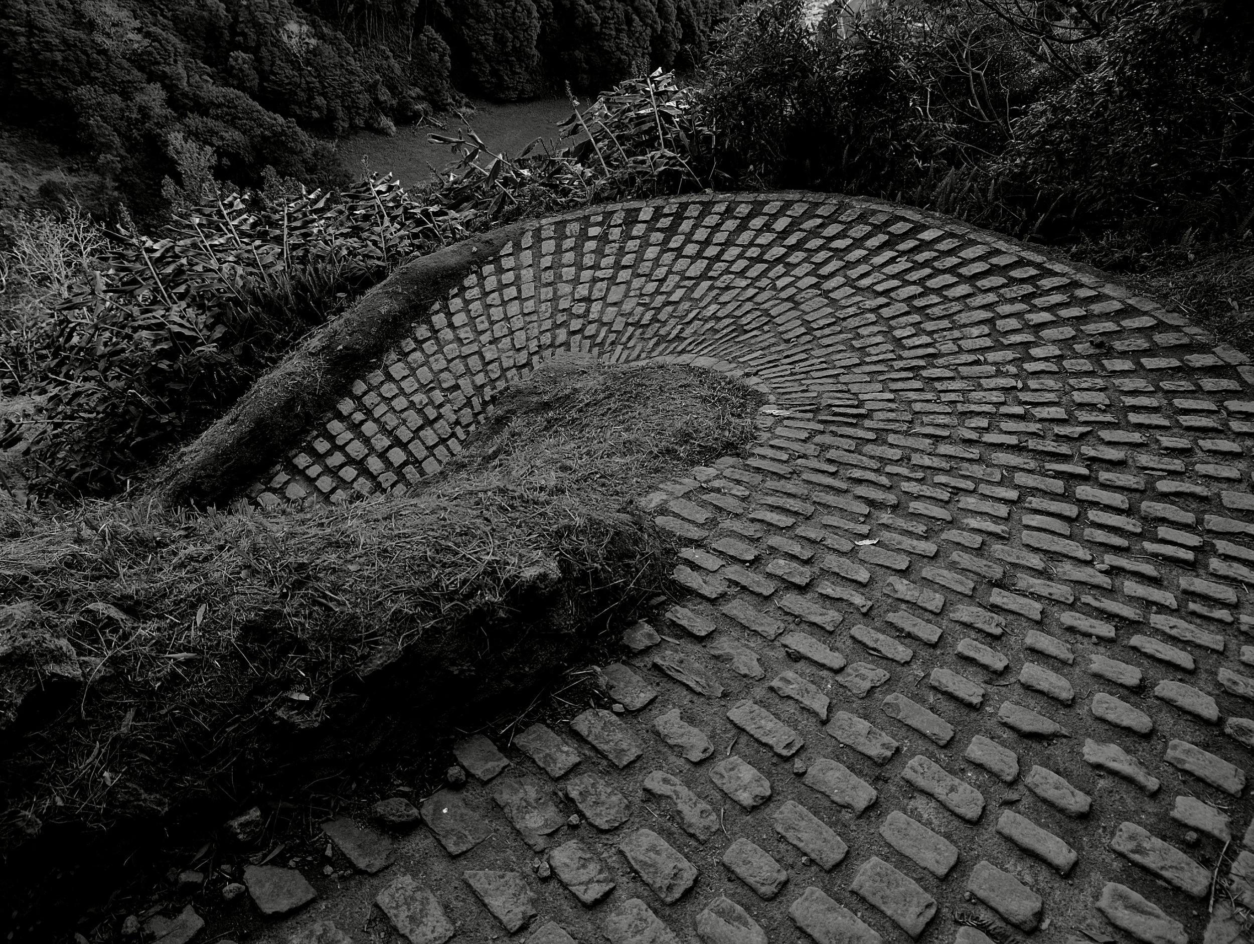 "Forgotten Mountain" São Miguel Island, Portugal