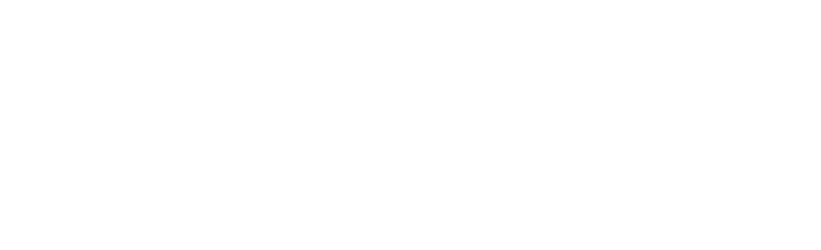 Nova School of Business & Economics