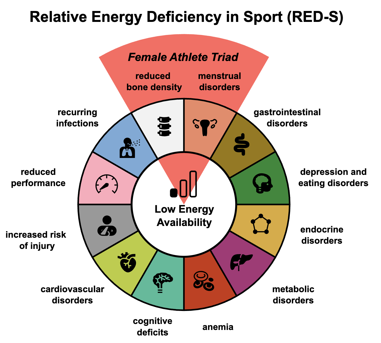 RED-S in Athletes: The Silent Performance Killer Coaches Are Still Missing