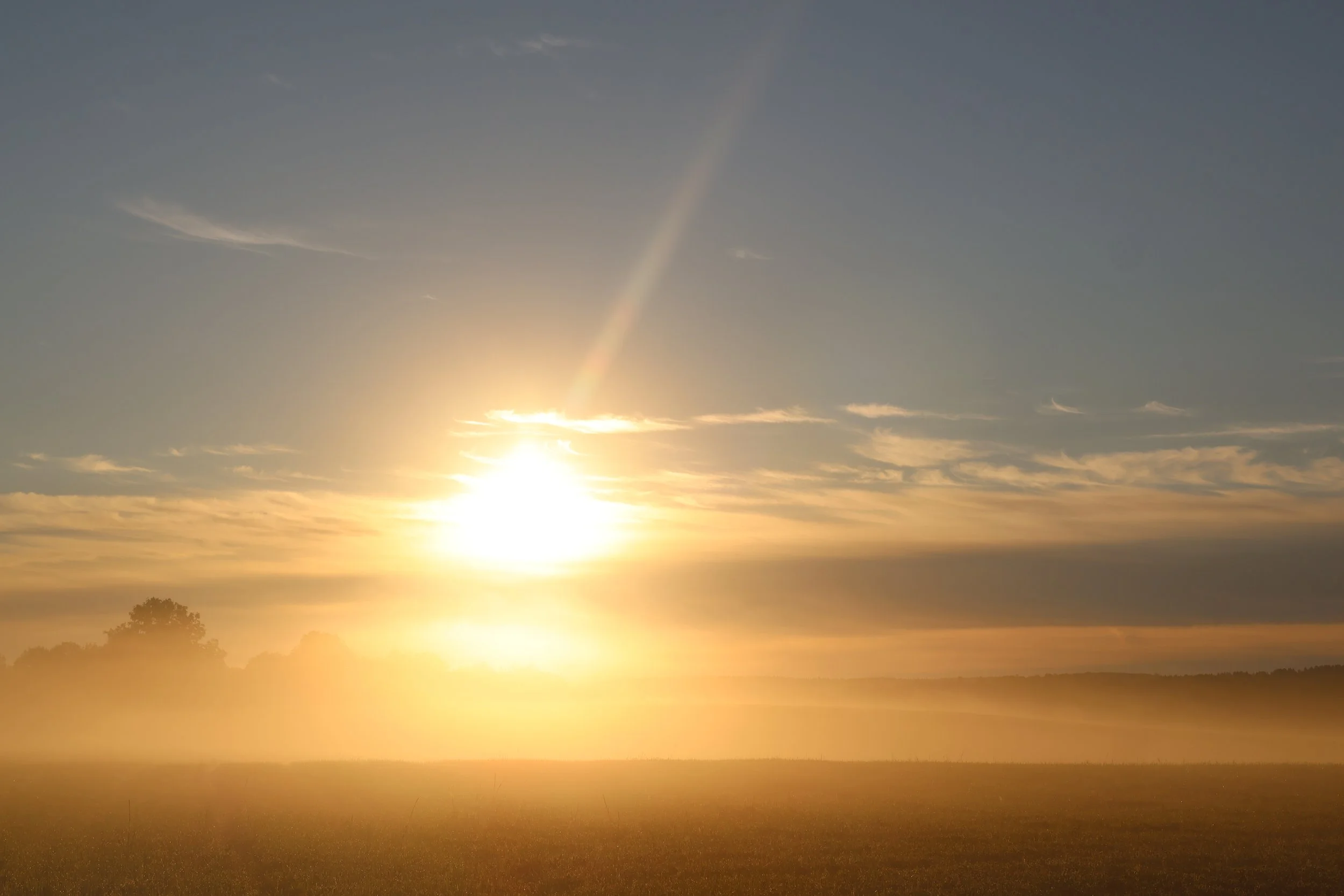 Sunset over a rural landscape with silhouetted trees and open fields.