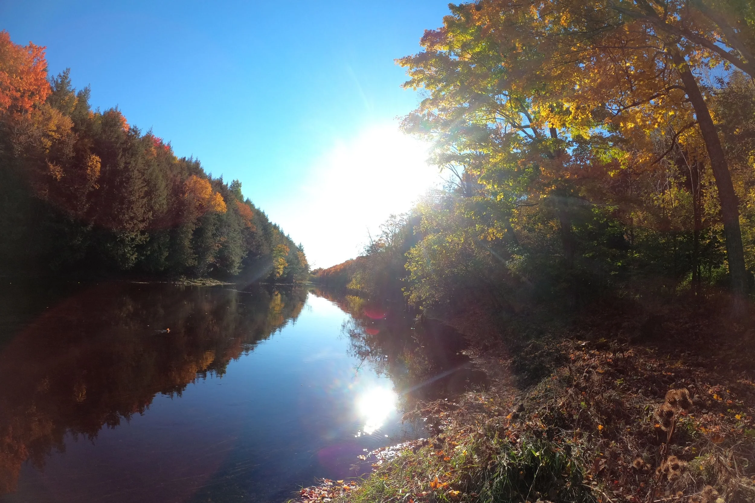 Sun shining over a calm river surrounded by trees with colorful autumn leaves.