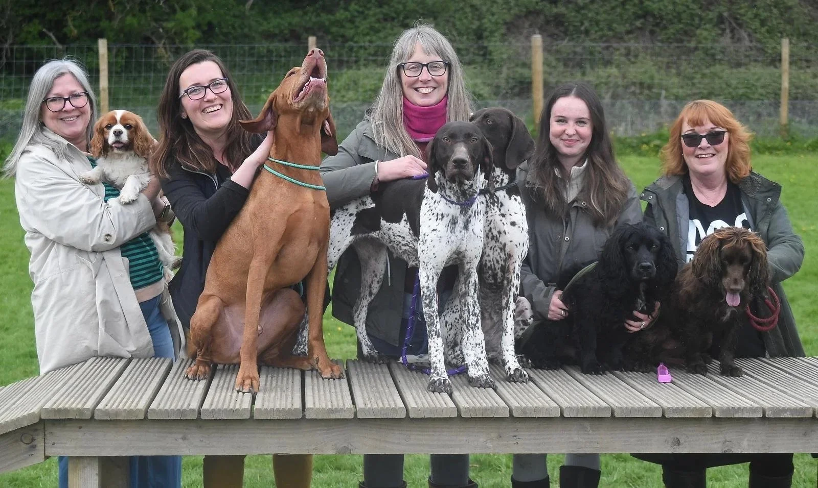 Four women and five dogs, including a small white and brown dog, a large brown dog, two dalmatian mixes, and two black and brown spaniels, standing on a wooden platform outdoors in a green grassy area with a fence in the background.