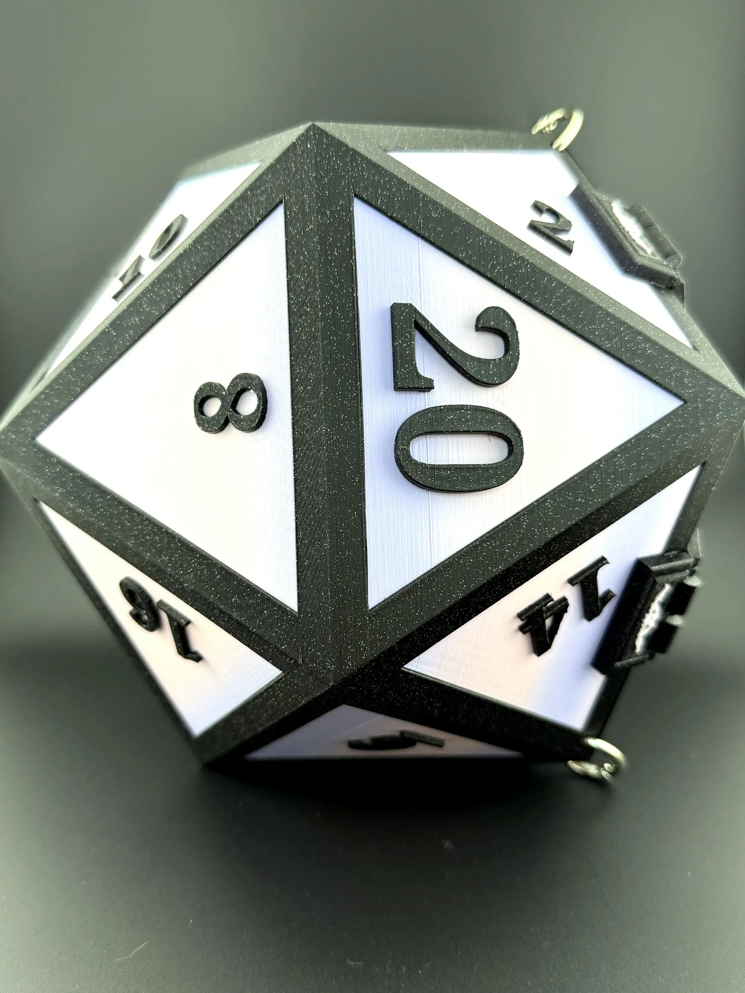 D20_Purse_Hero_v2.jpg
