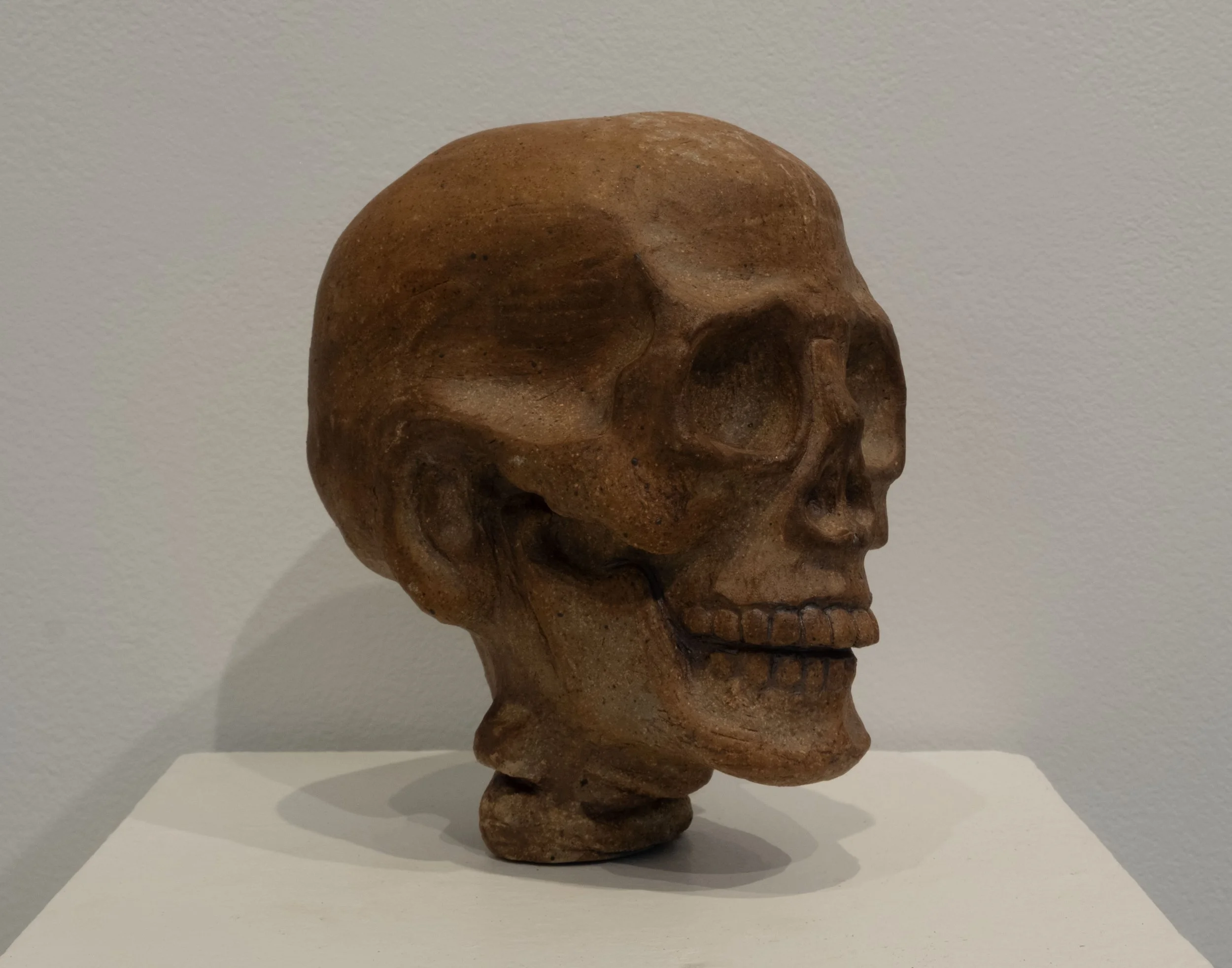 Skull 1 copy.jpg