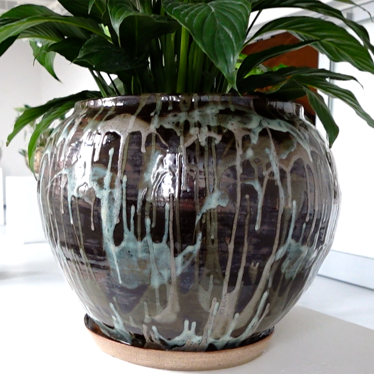 mother earth 1 gallery shot a.png