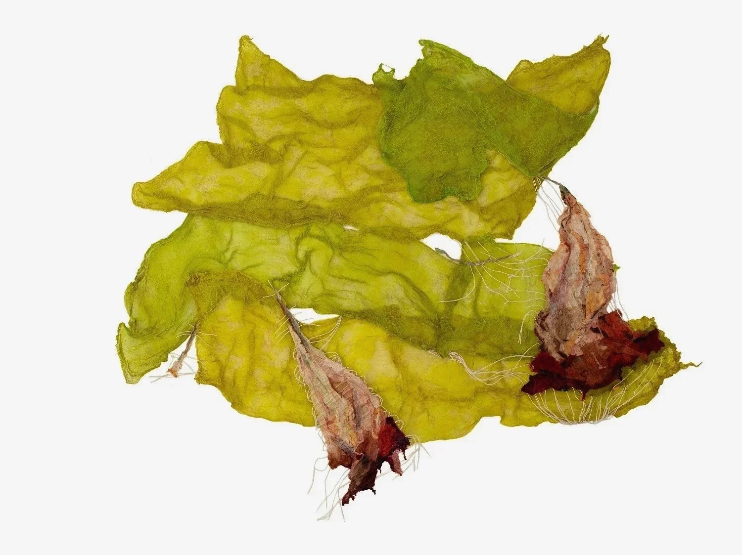 Dried green and brown tea leaves with a few roots, set against a white background.
