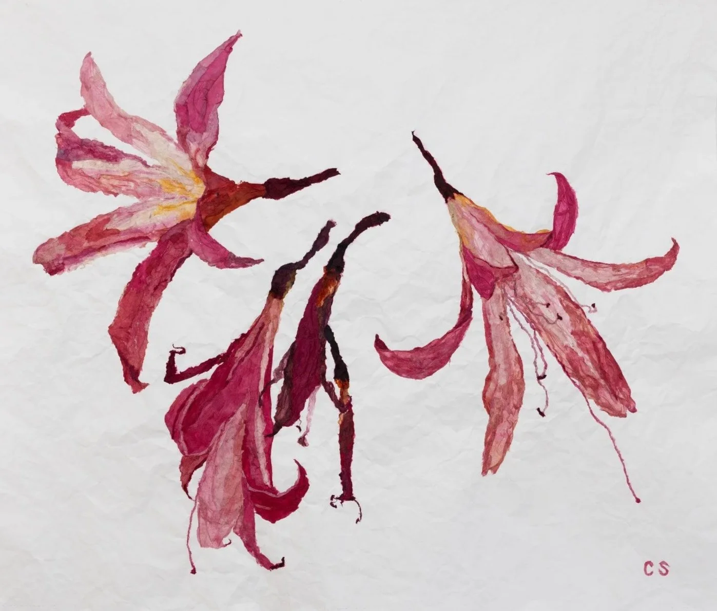 Watercolor painting of three pink lilies with brown stamens on white background.
