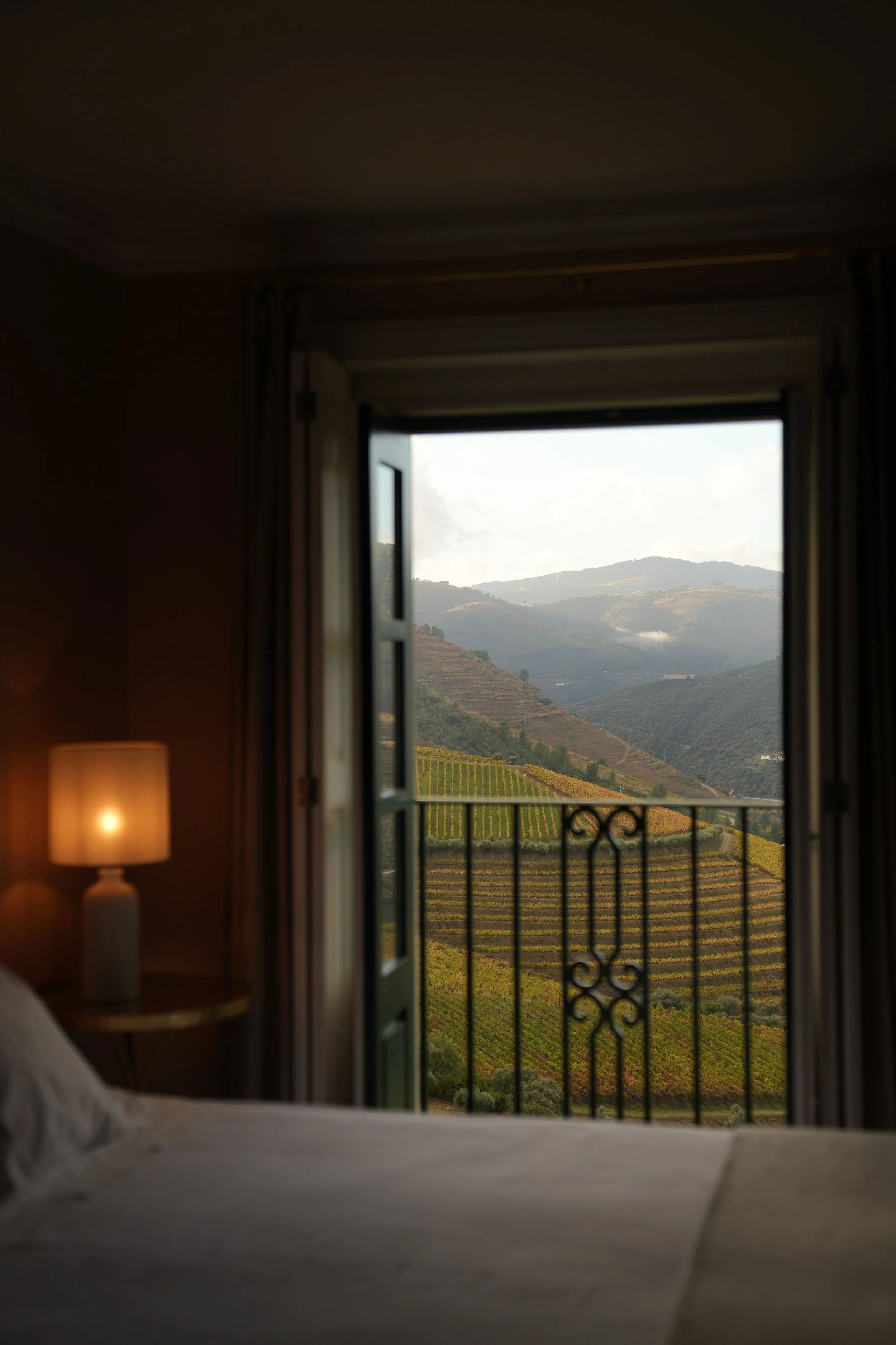 View of rolling hills and vineyards through a window with open iron gate, in a room with beige walls and a lamp on a table.