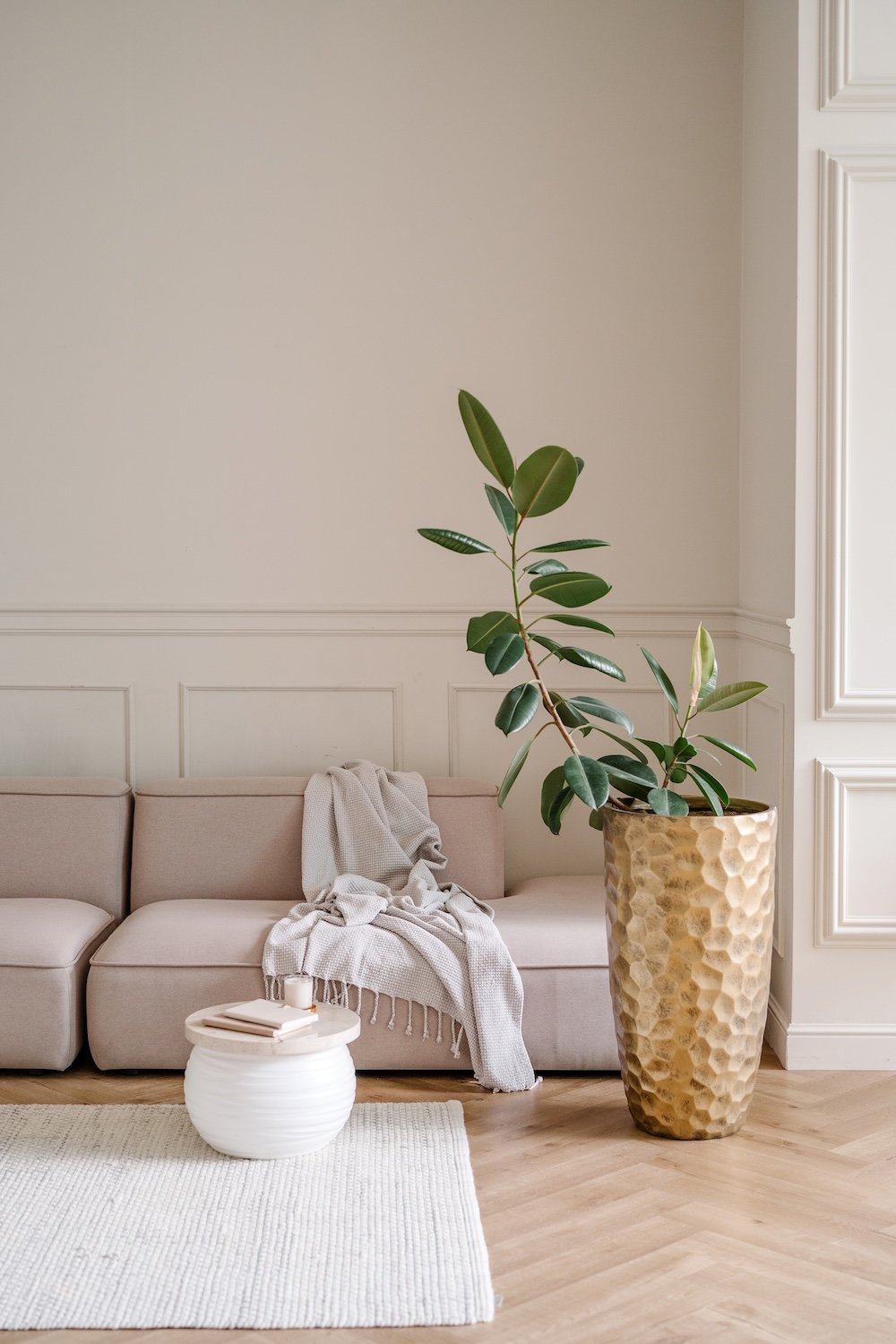 Living room with beige sofa, textured blanket, white side table, large potted plant in a hammered gold vase, and wood flooring.
