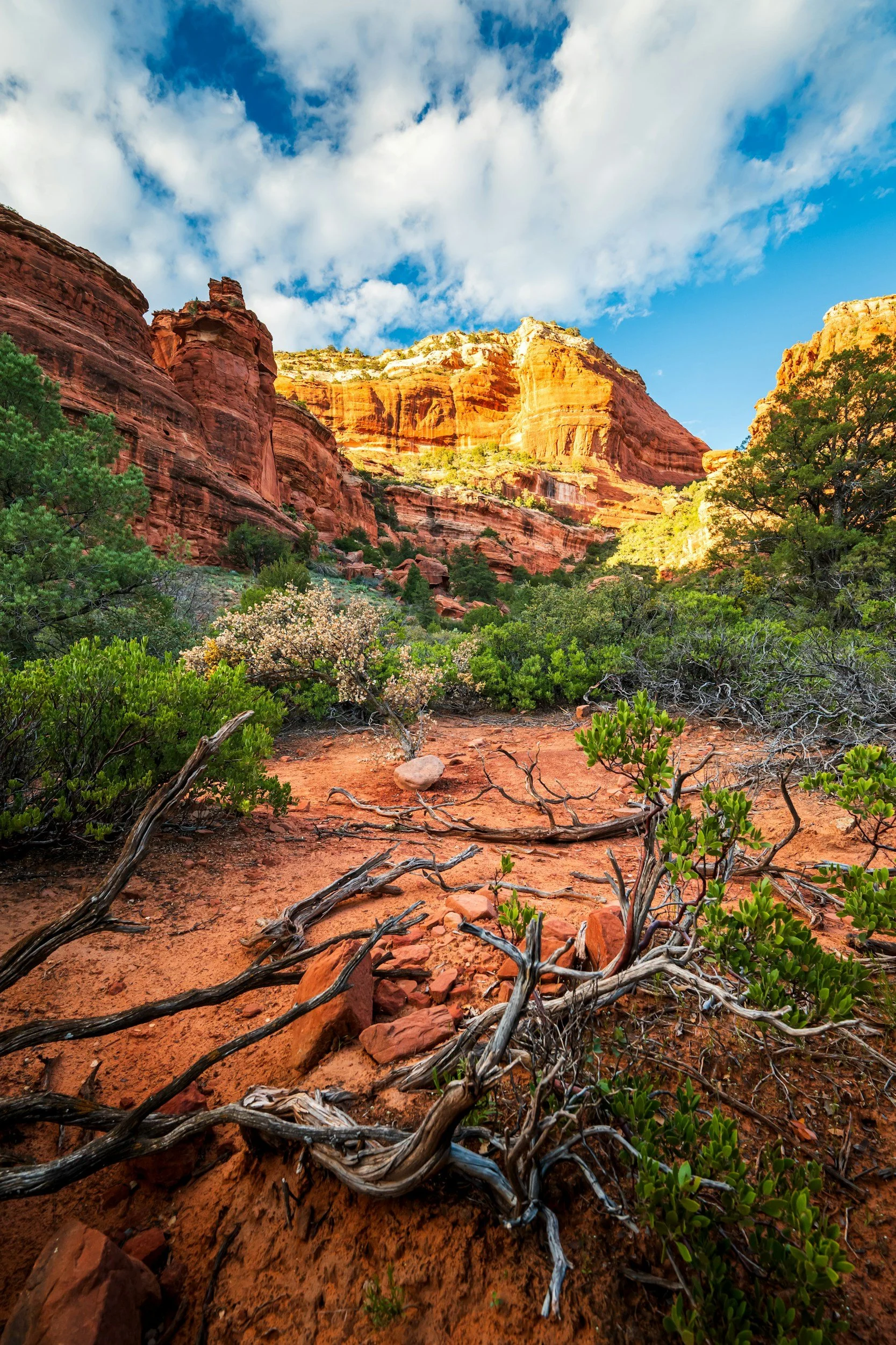 Desert landscape with red rocky terrain, green shrubs, and towering red sandstone cliffs under a partly cloudy blue sky.