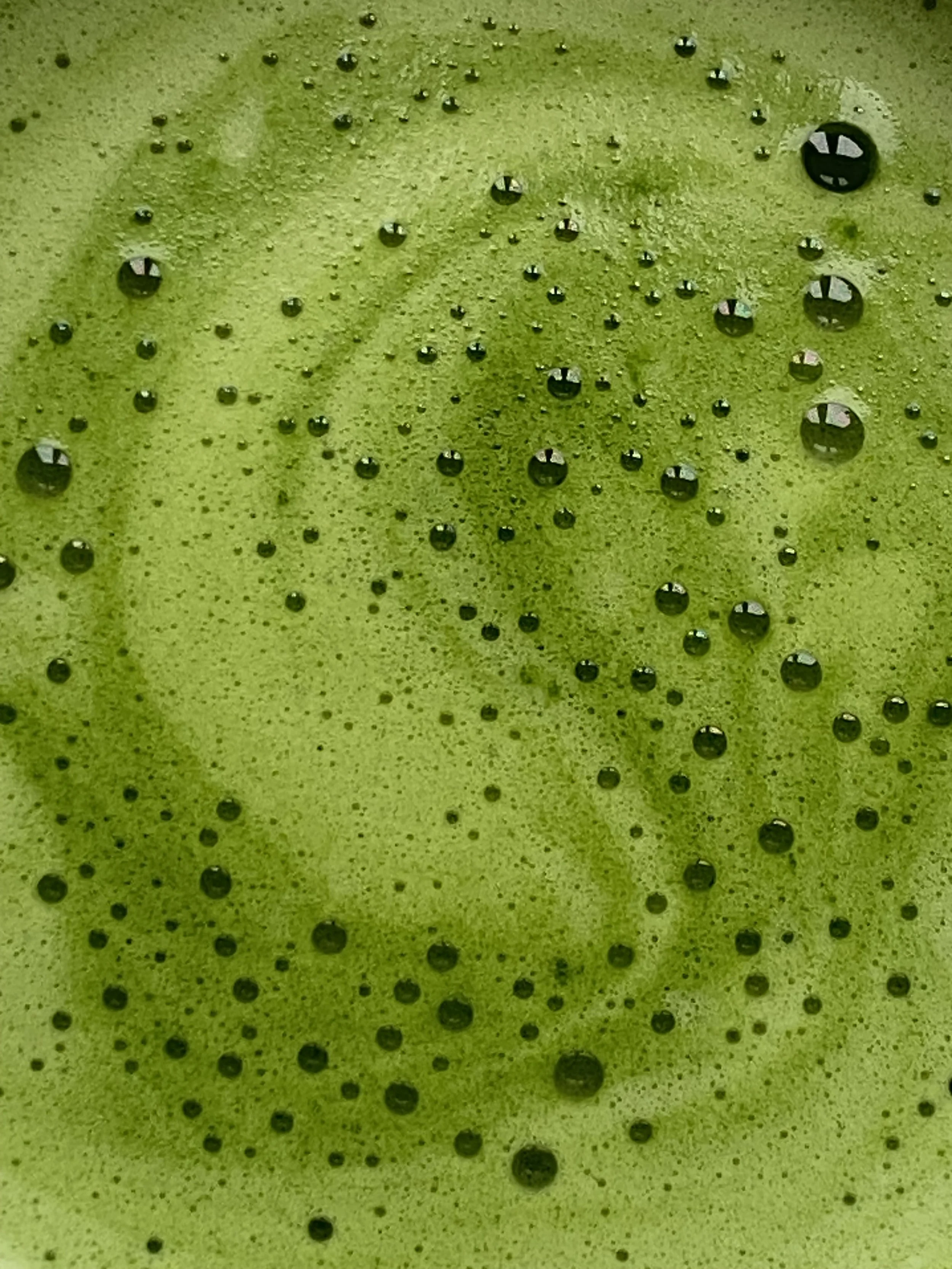 Close-up of a fresh green juice