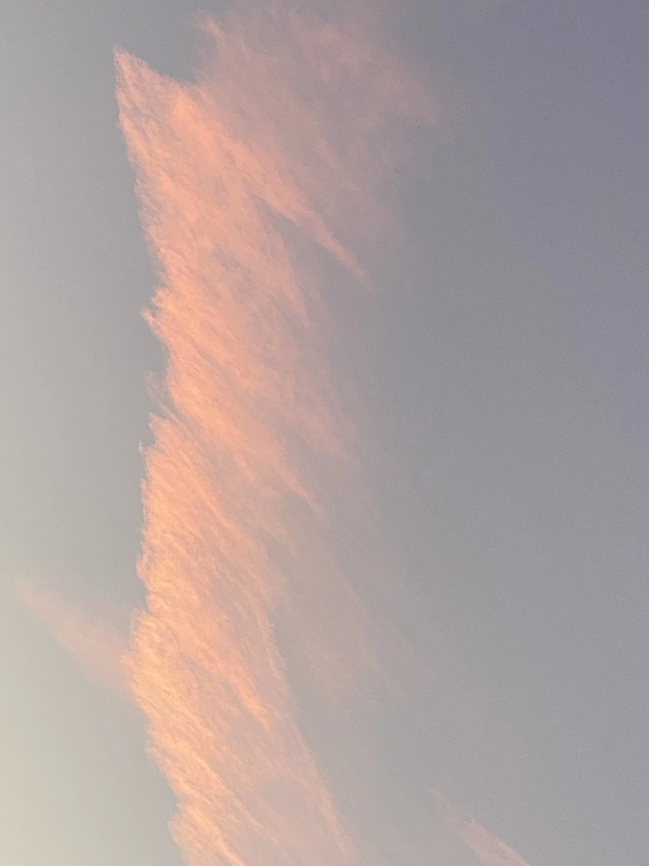 Pink clouds in the evening sky