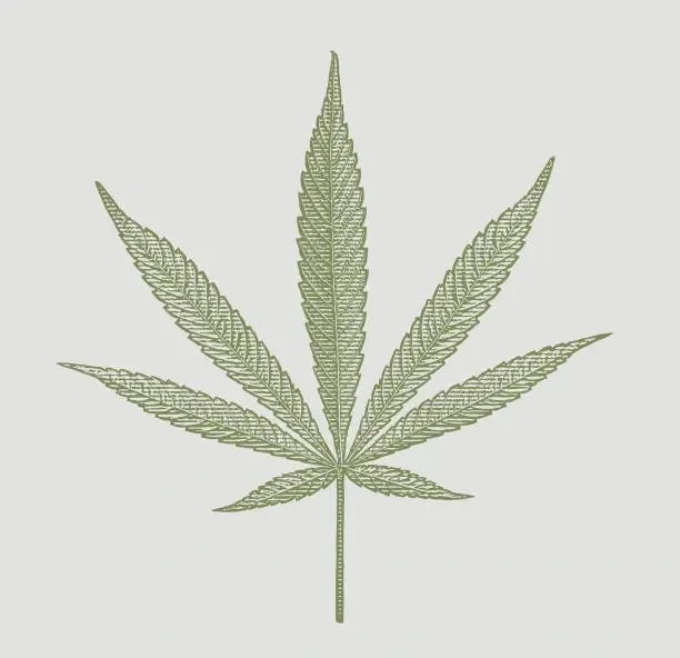 Medicinal Cannabis Friendly 