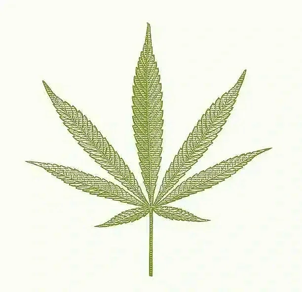 Medicinal Cannabis Friendly 