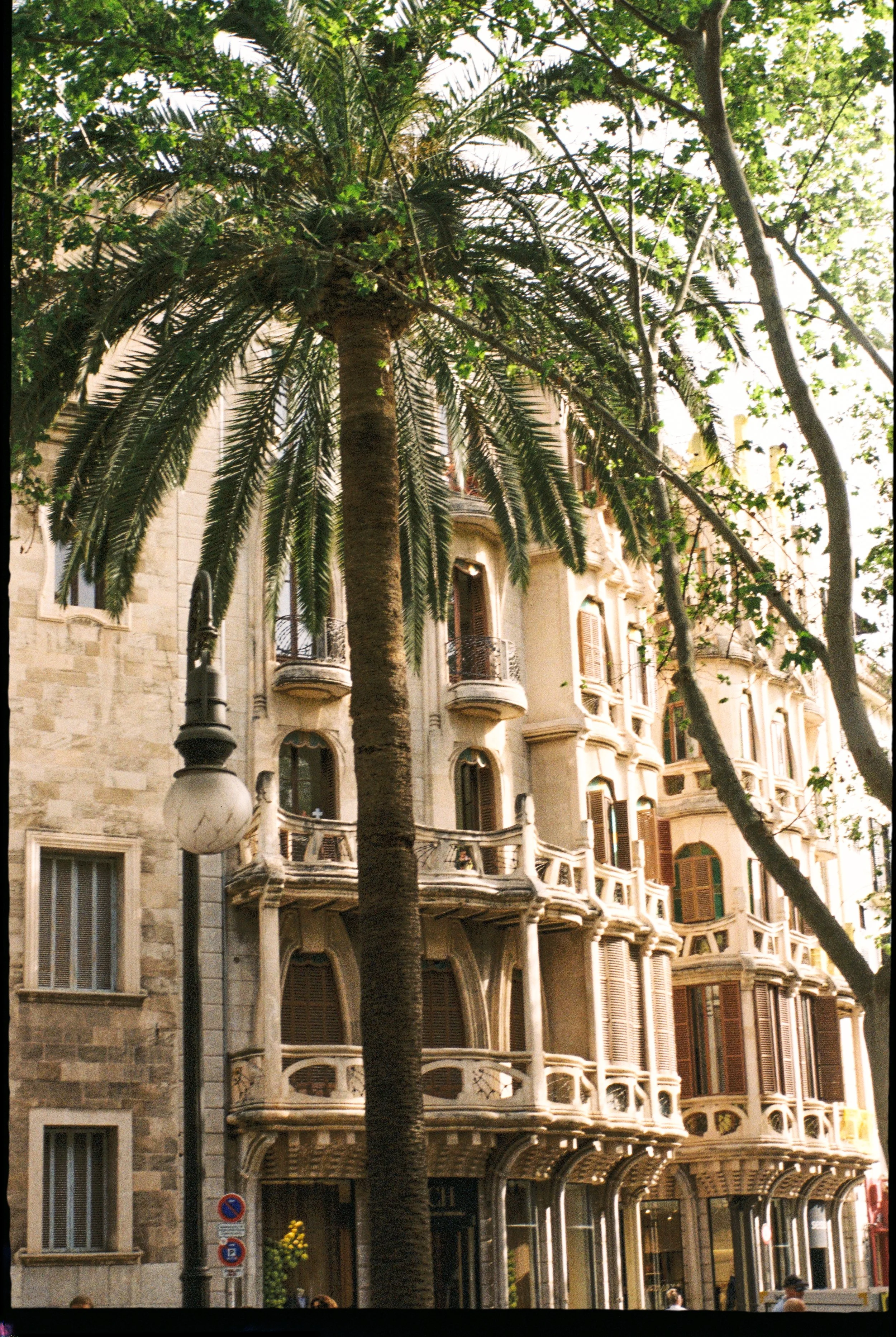 AennaFotografie_FINAL_Mallorca-1.jpg