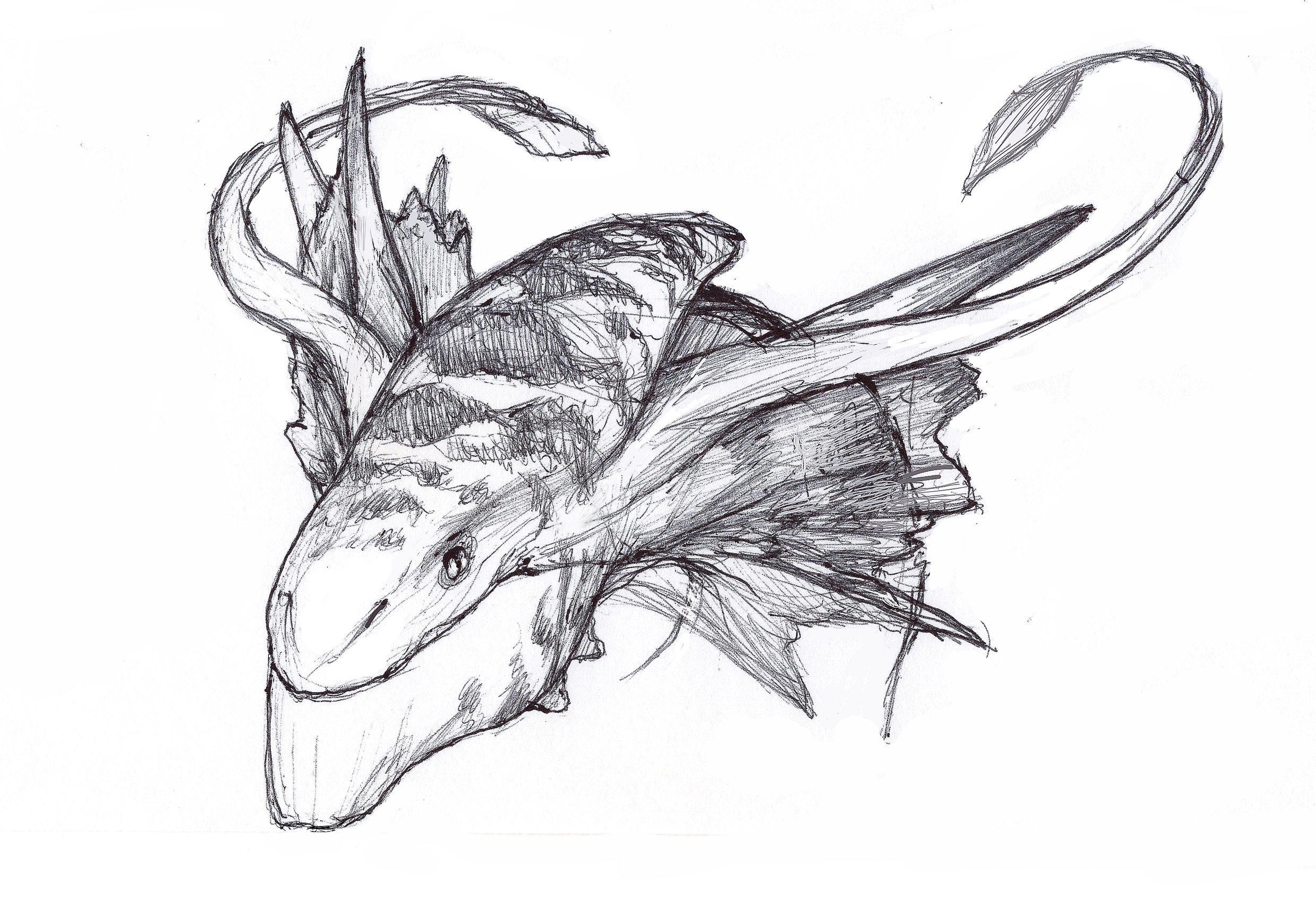 Chimera_Without_Notes.jpg