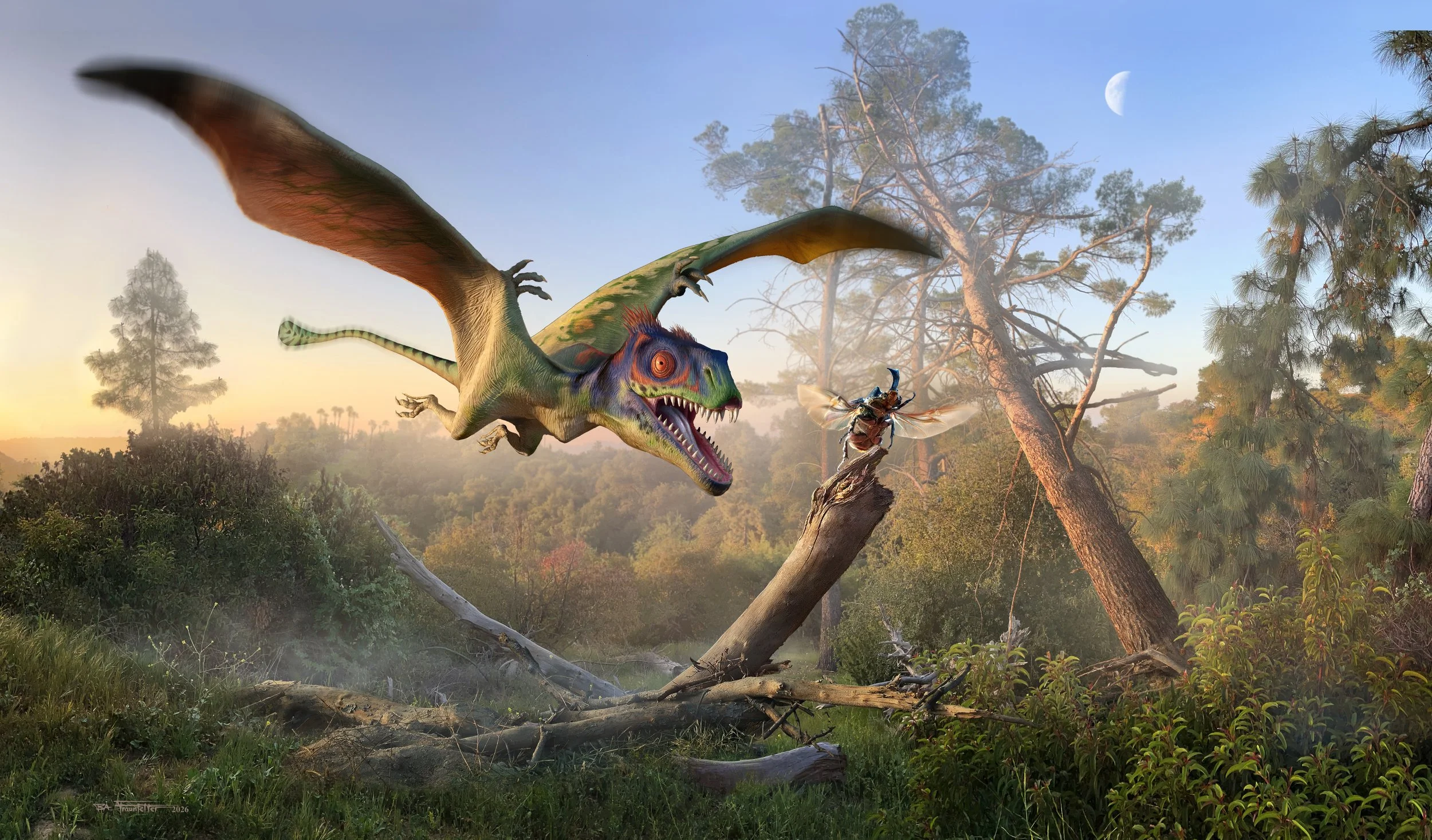 Peteinosaurus_Final.jpg