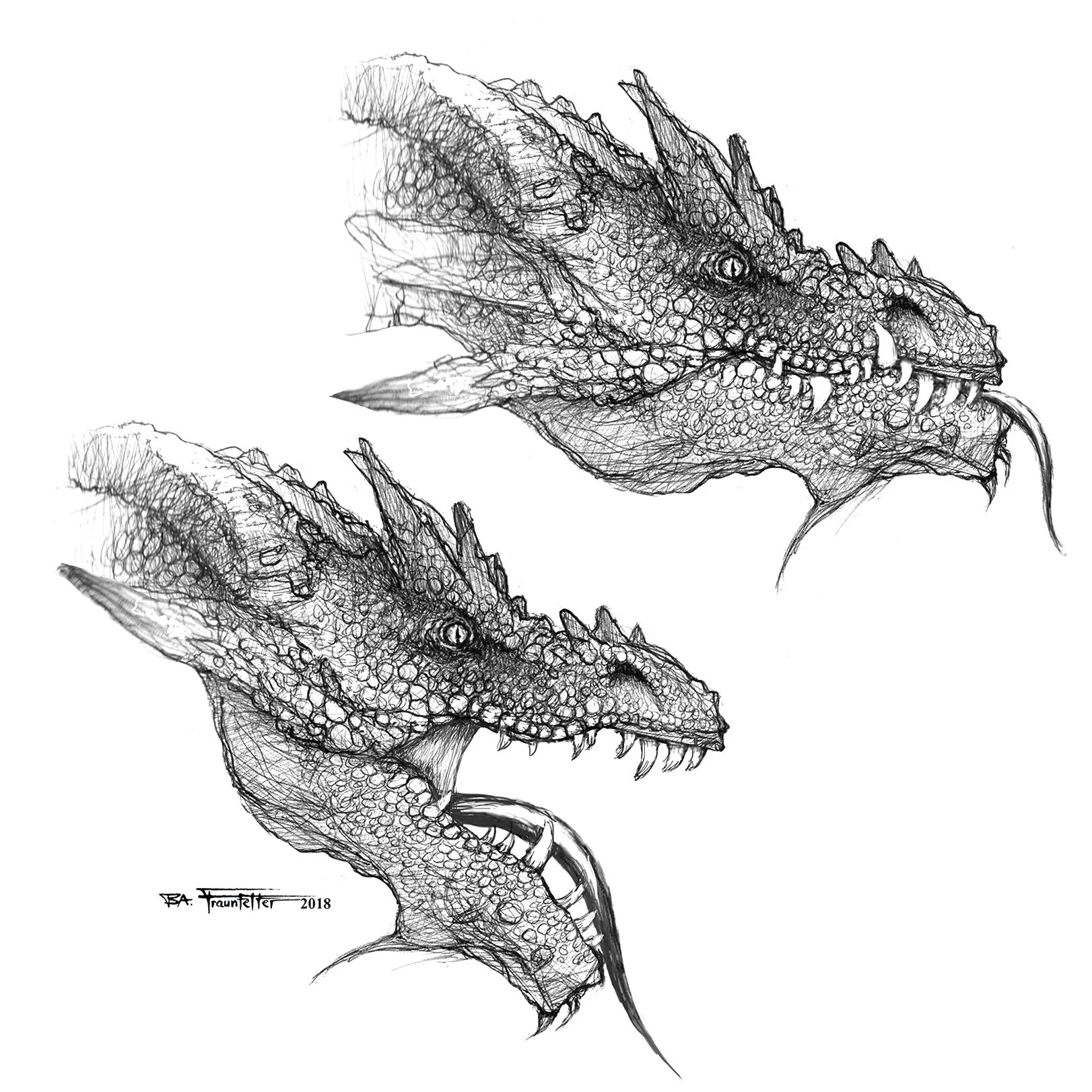 Dragon Sketch 4.jpg