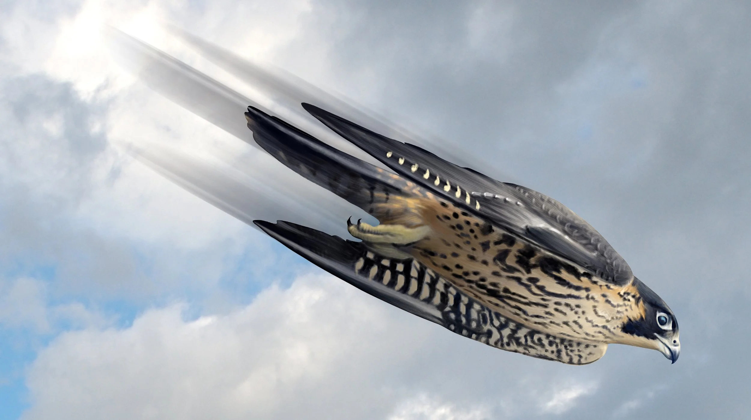 Falcon against sky.jpg