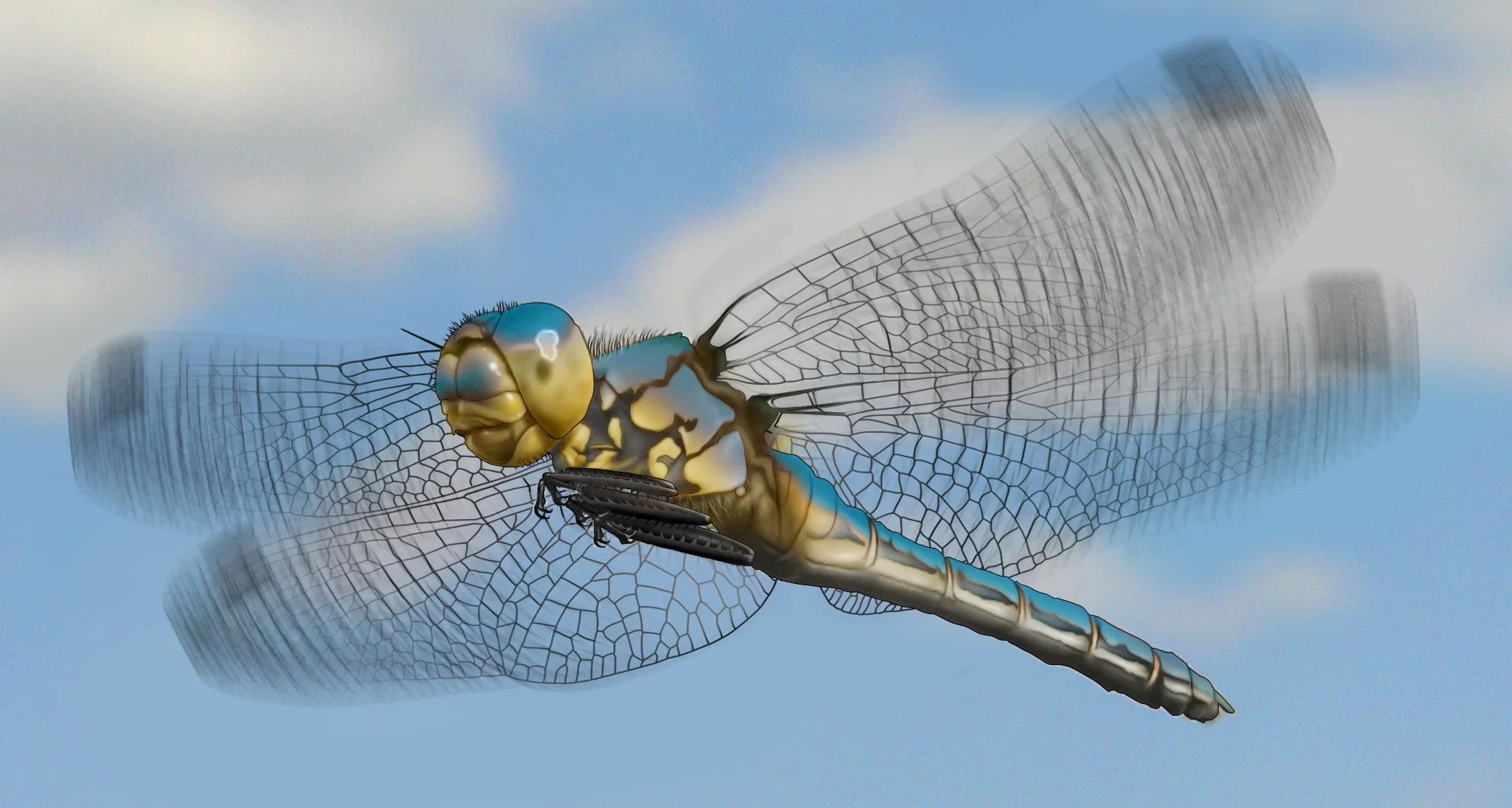 Dragonfly Illo (R2).jpg