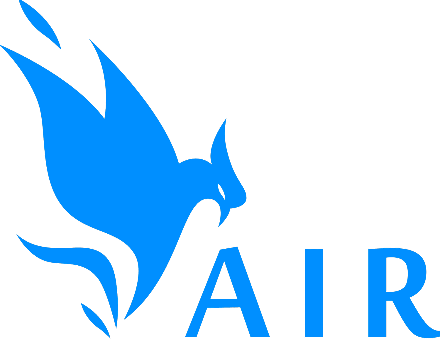 A.I.R. Performance