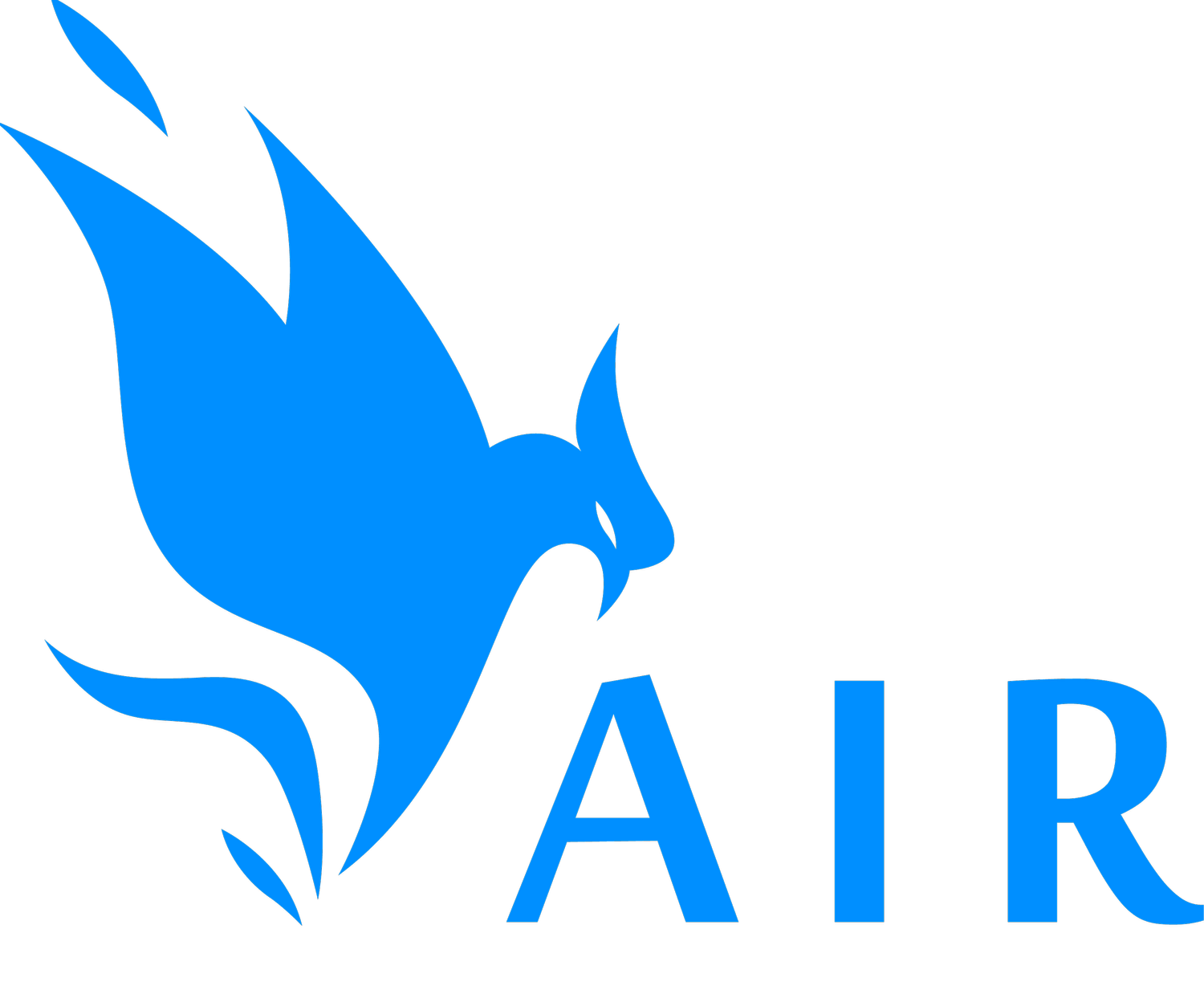 A.I.R. Performance