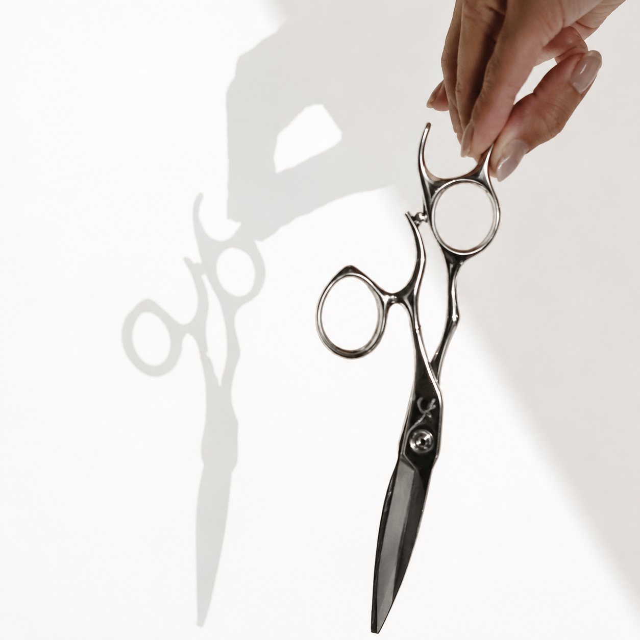 Cutting Experience