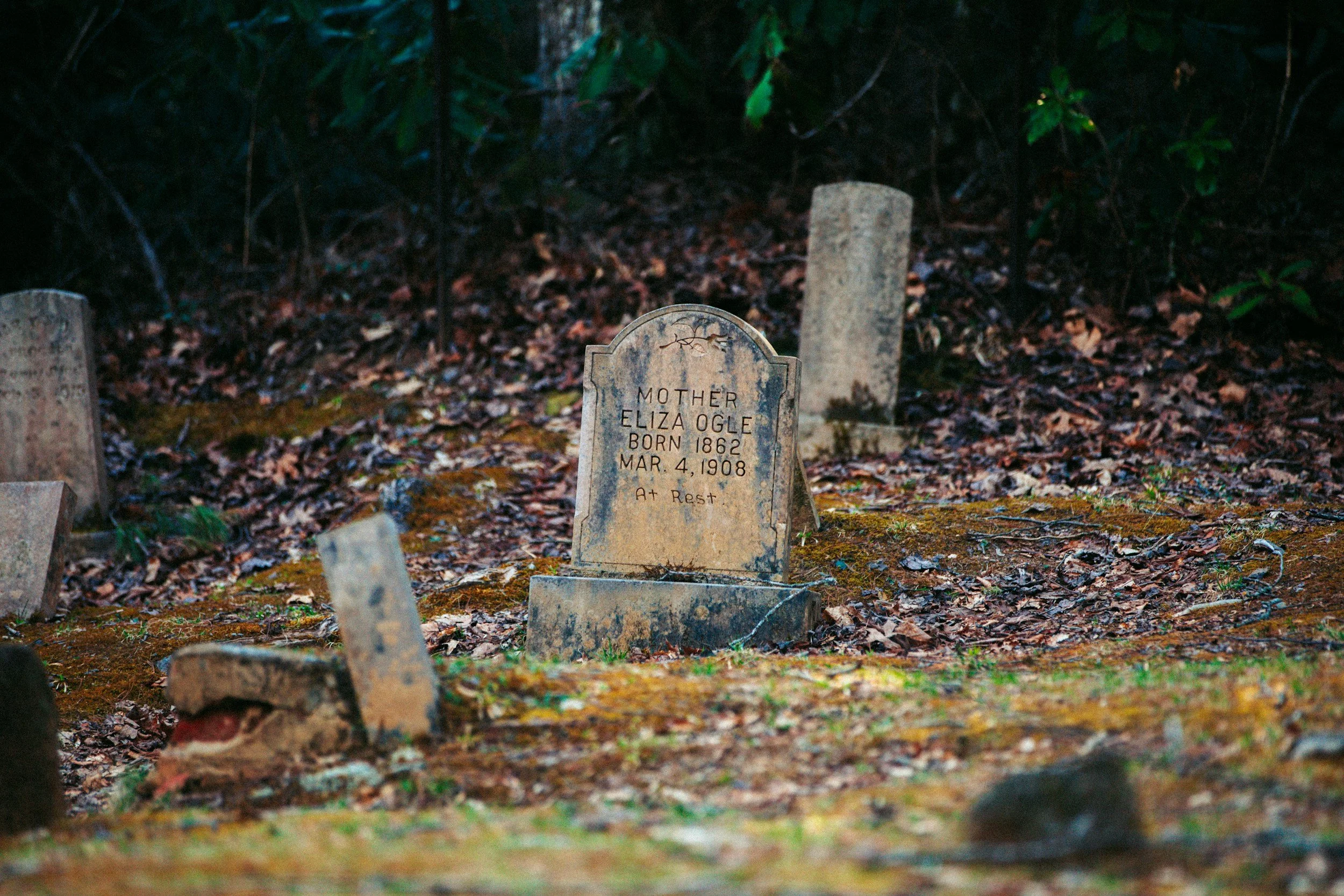 How Are Pauper’s Funerals Different From Regular Funerals?