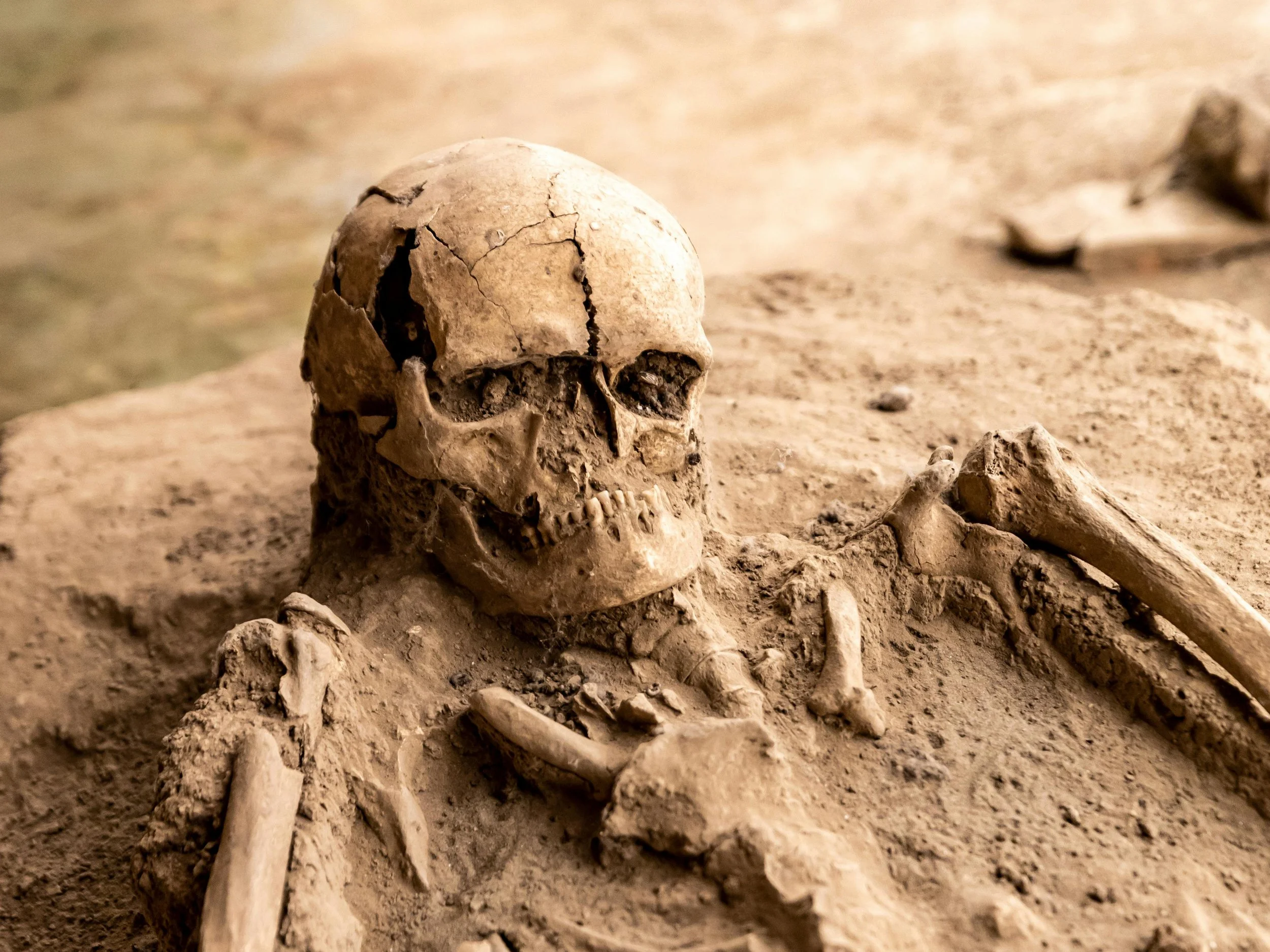 What Happens to the Human Body After Death?