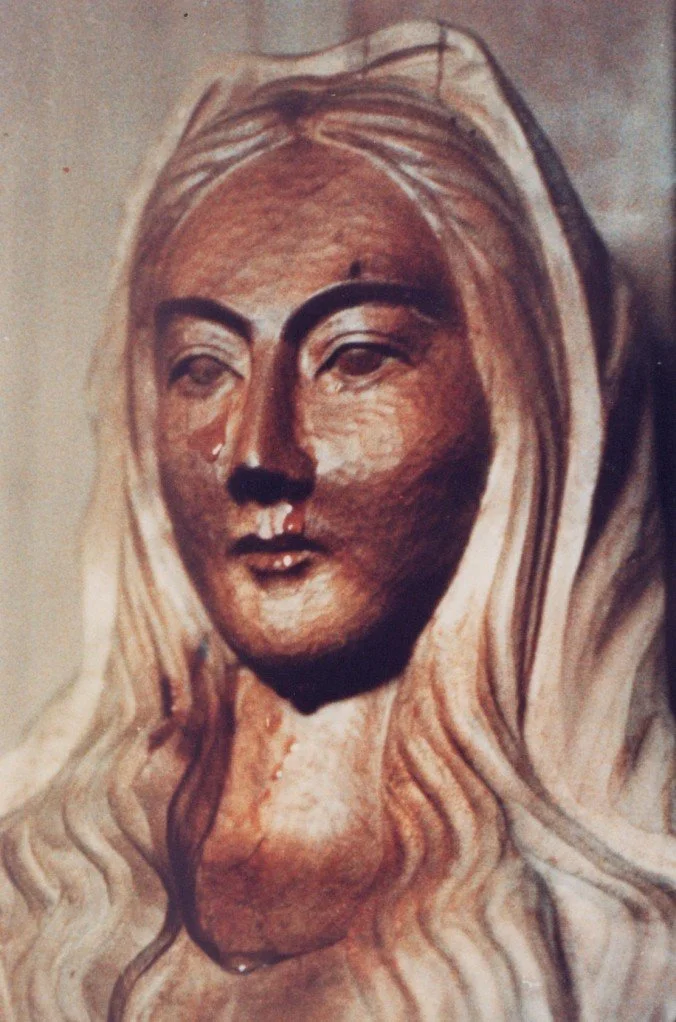 An extreme close-up shot of Our Lady of Akita found in Japan