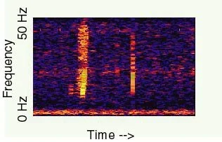 a graphic showing the frequency versus time of the infamous bloop, an ocean sound