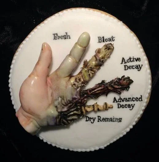 a model that showcases the different stages of decay