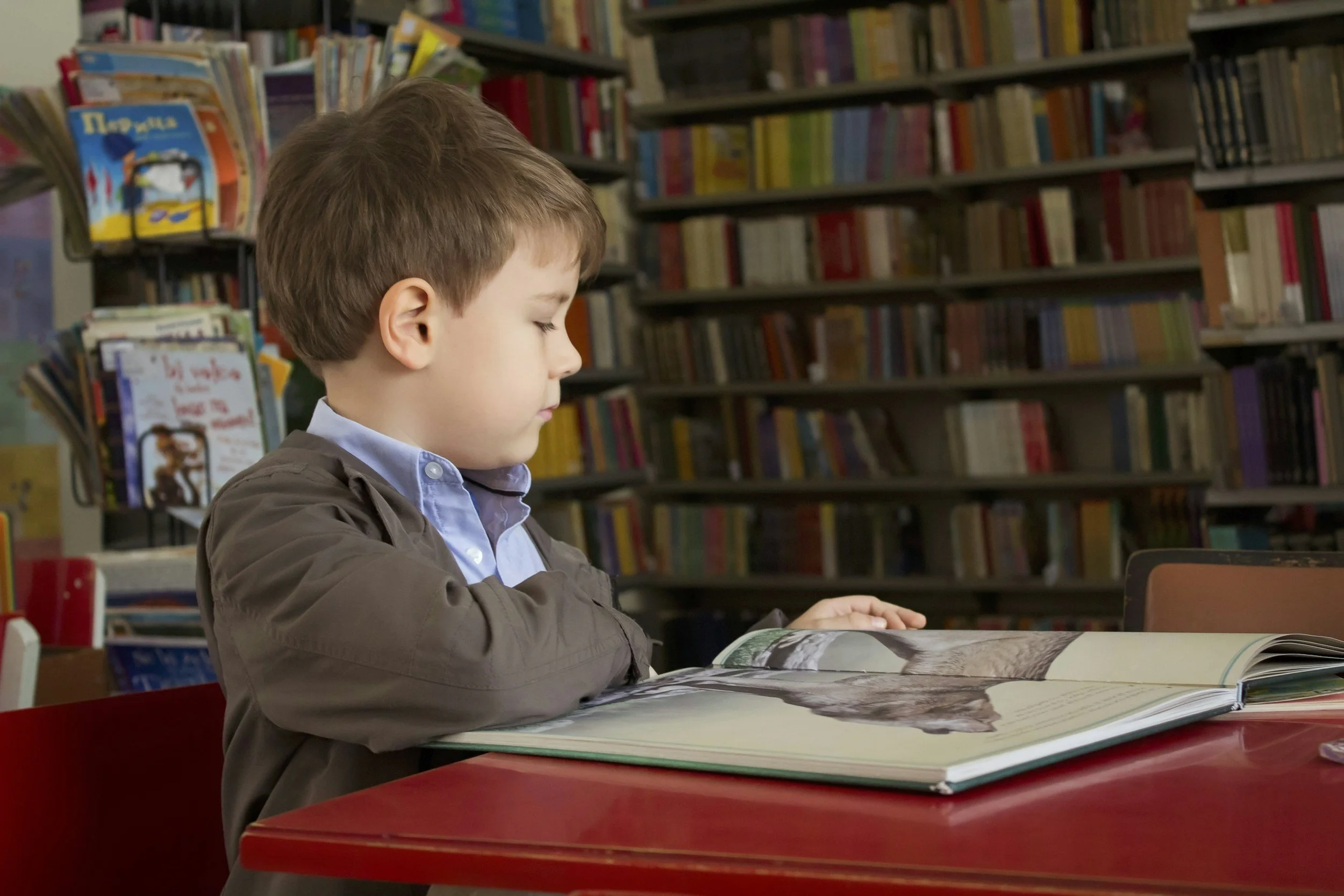 A young boy with light brown hair and fair skin is sitting at a red table in a library, reading a large illustrated book. Behind him are shelves filled with colorful books.