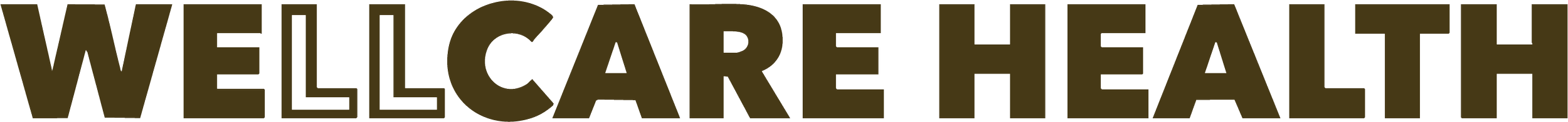 Wellcare Health logo in black text on transparent background.