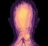 Highest Level of Consciousness