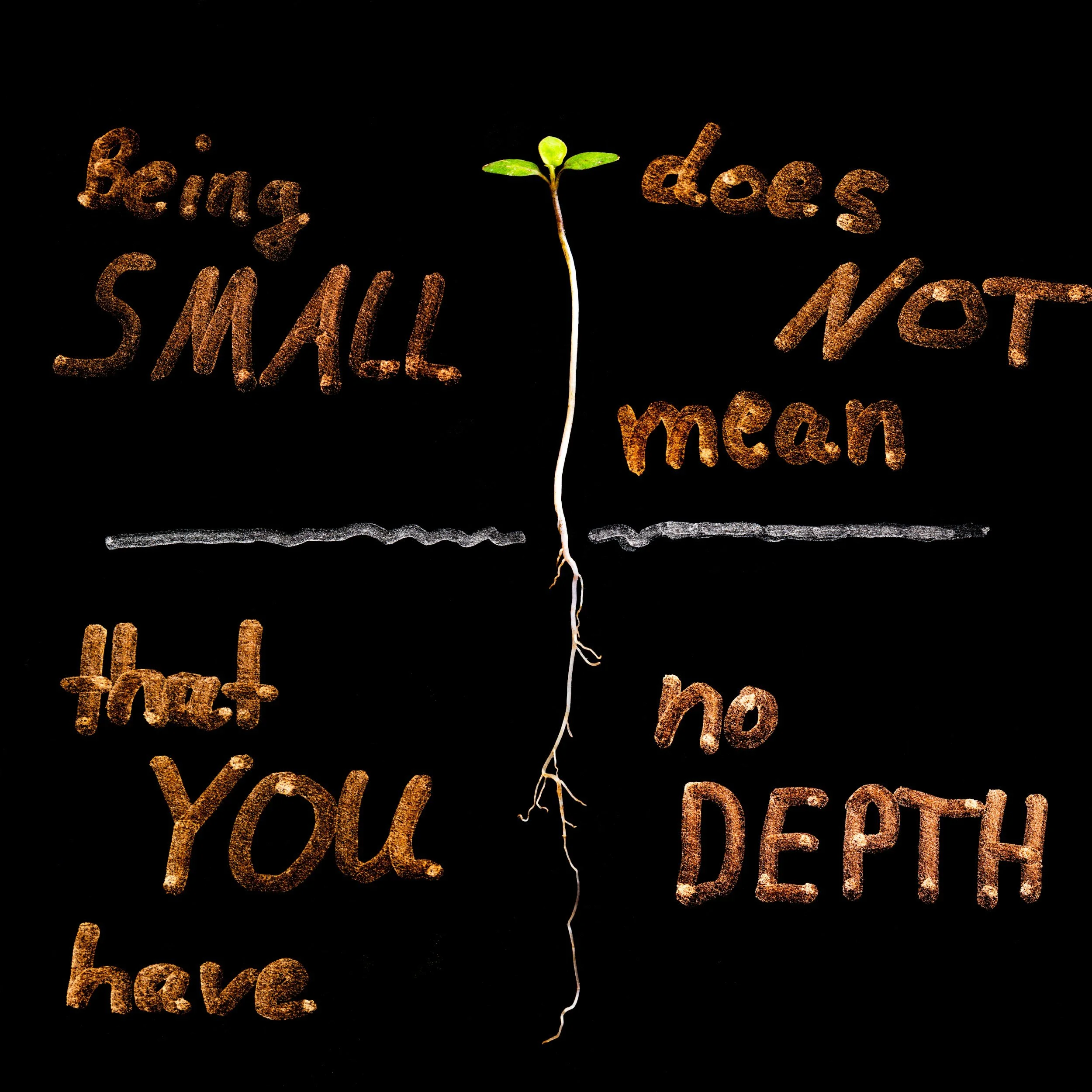 A sprout with green leaves emerging from the soil, surrounded by phrases written with soil, including: 'Being small does not mean that you have no depth'.