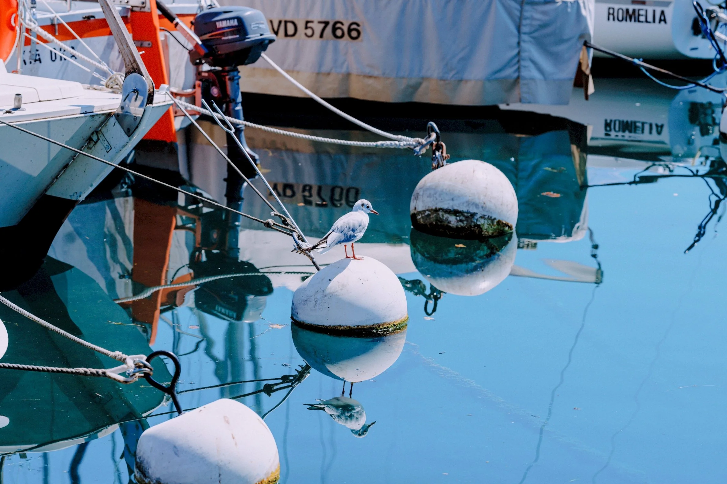 Une pause bien méritée , Pully , Suisse