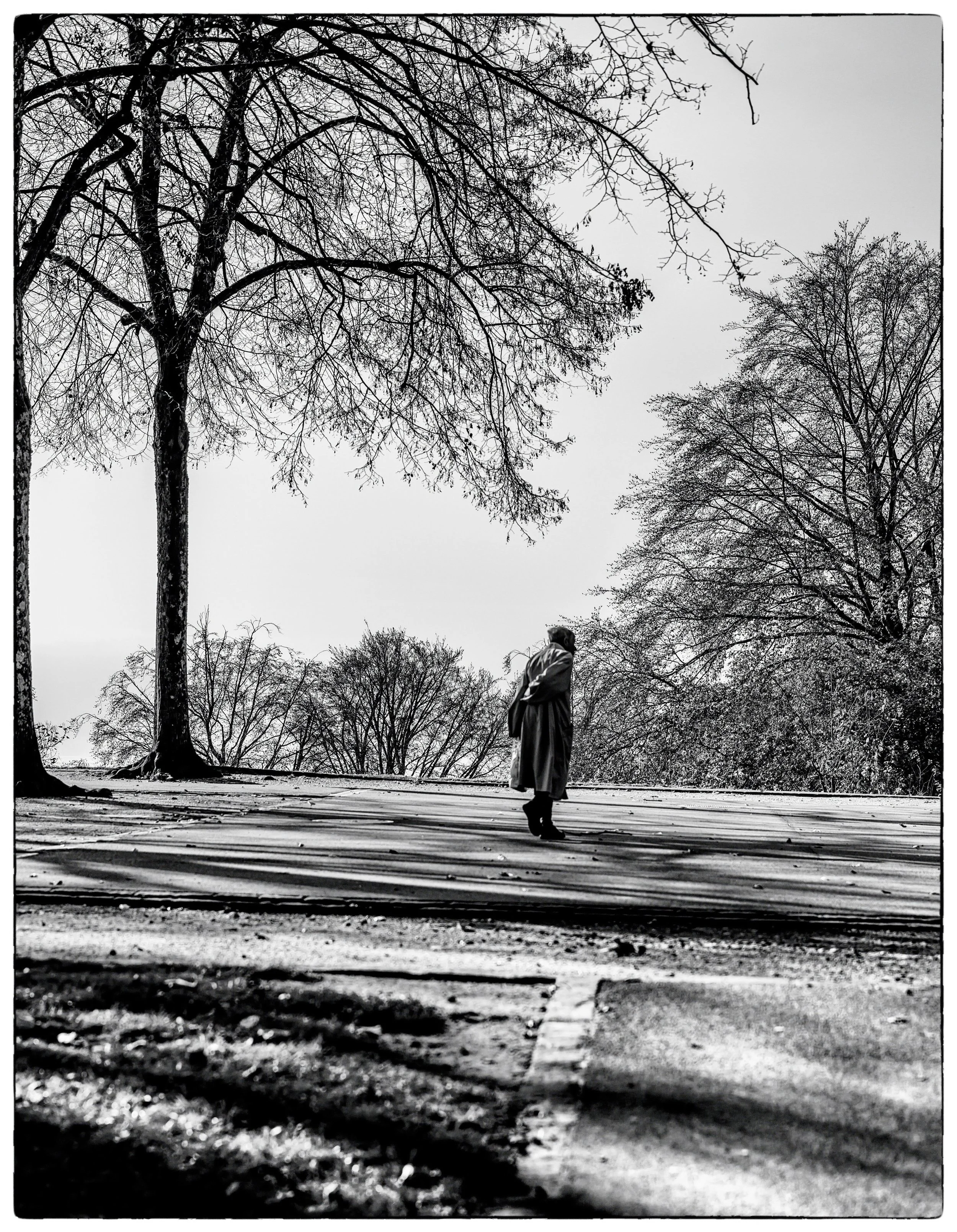 Le penseur solitaire , Lausanne