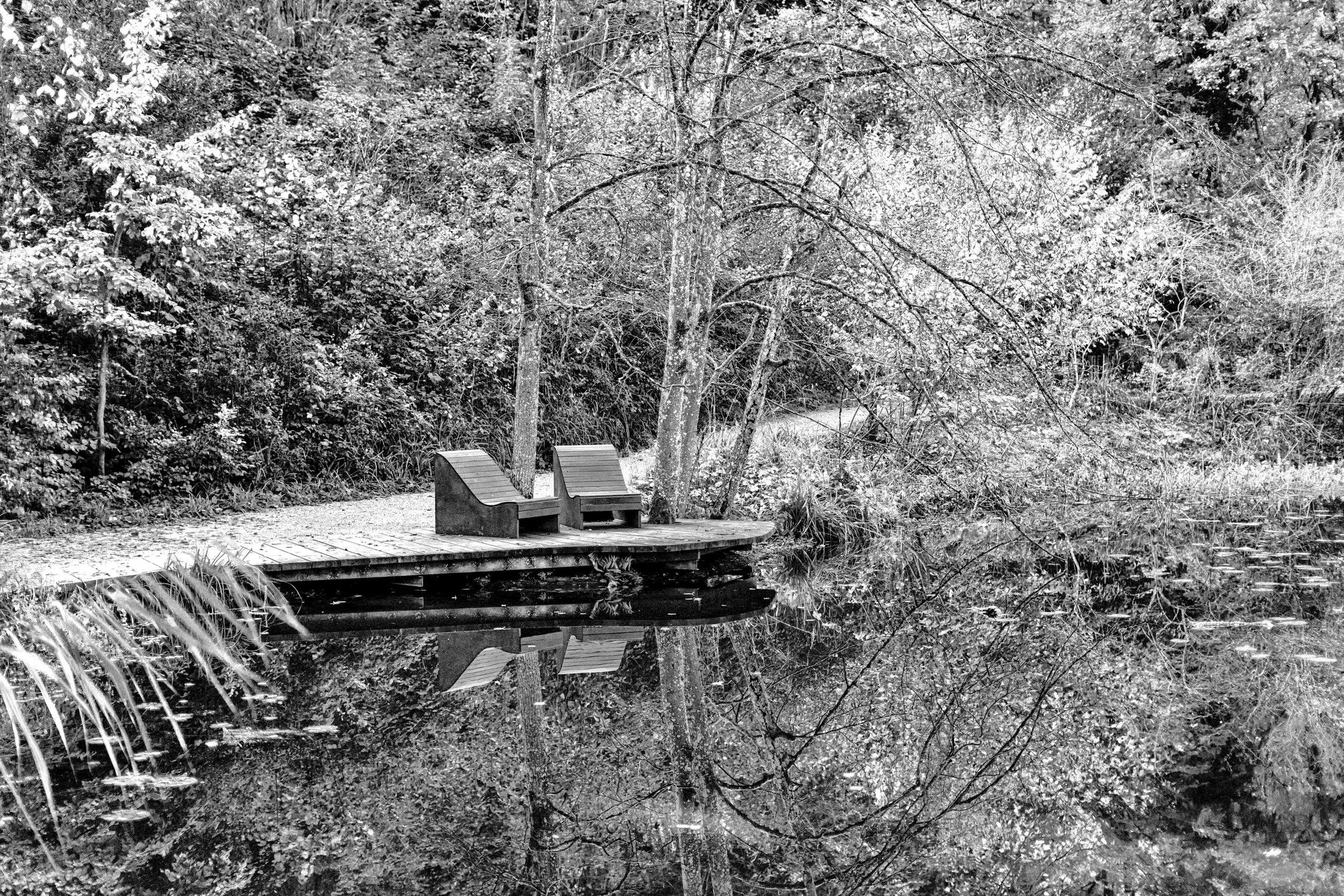 duo du banc au jardin botanique de Neuchâtel