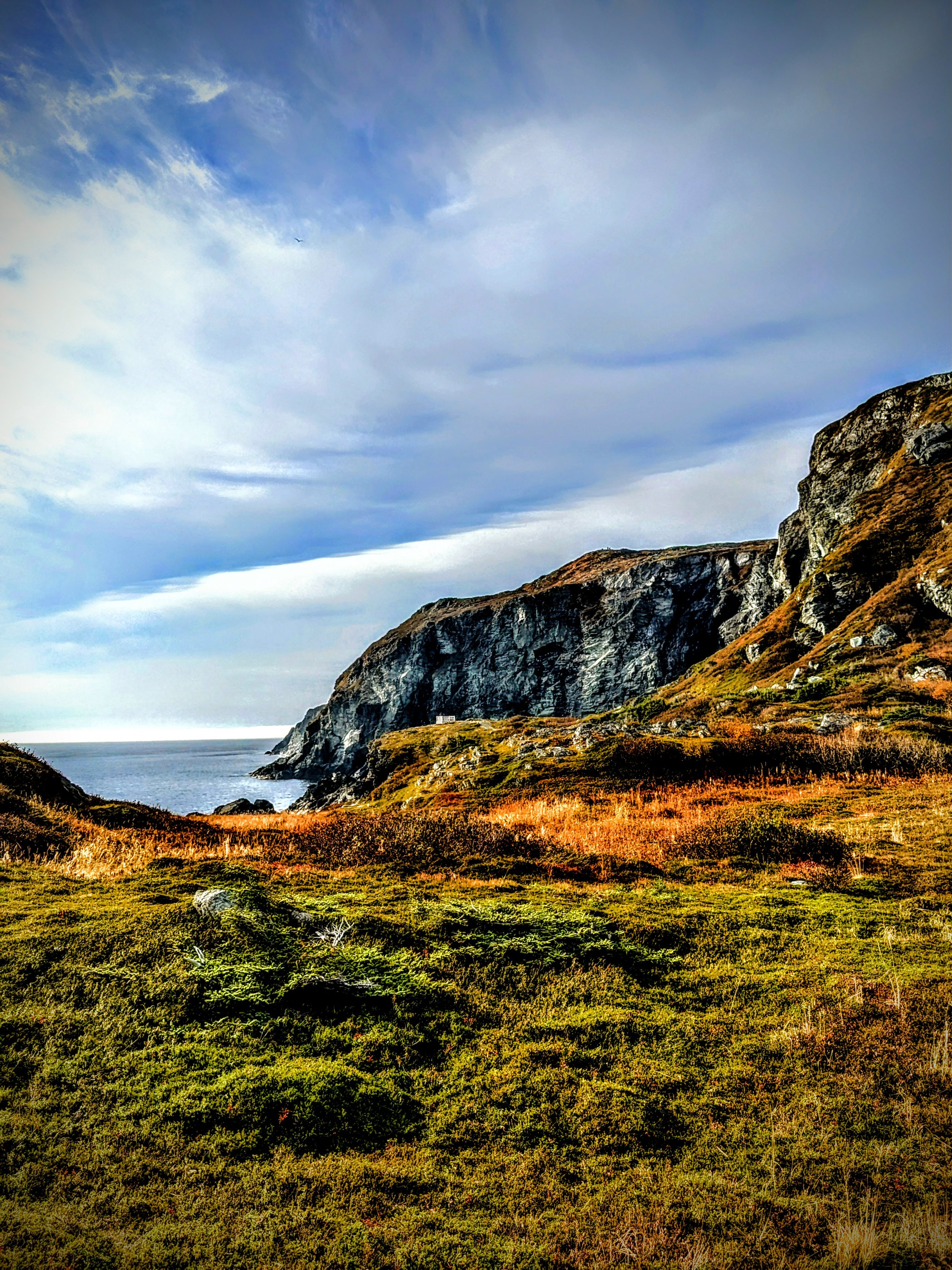 Coastal cliff landscape with green and orange vegetation, rocky cliffs, ocean view, and partly cloudy sky.