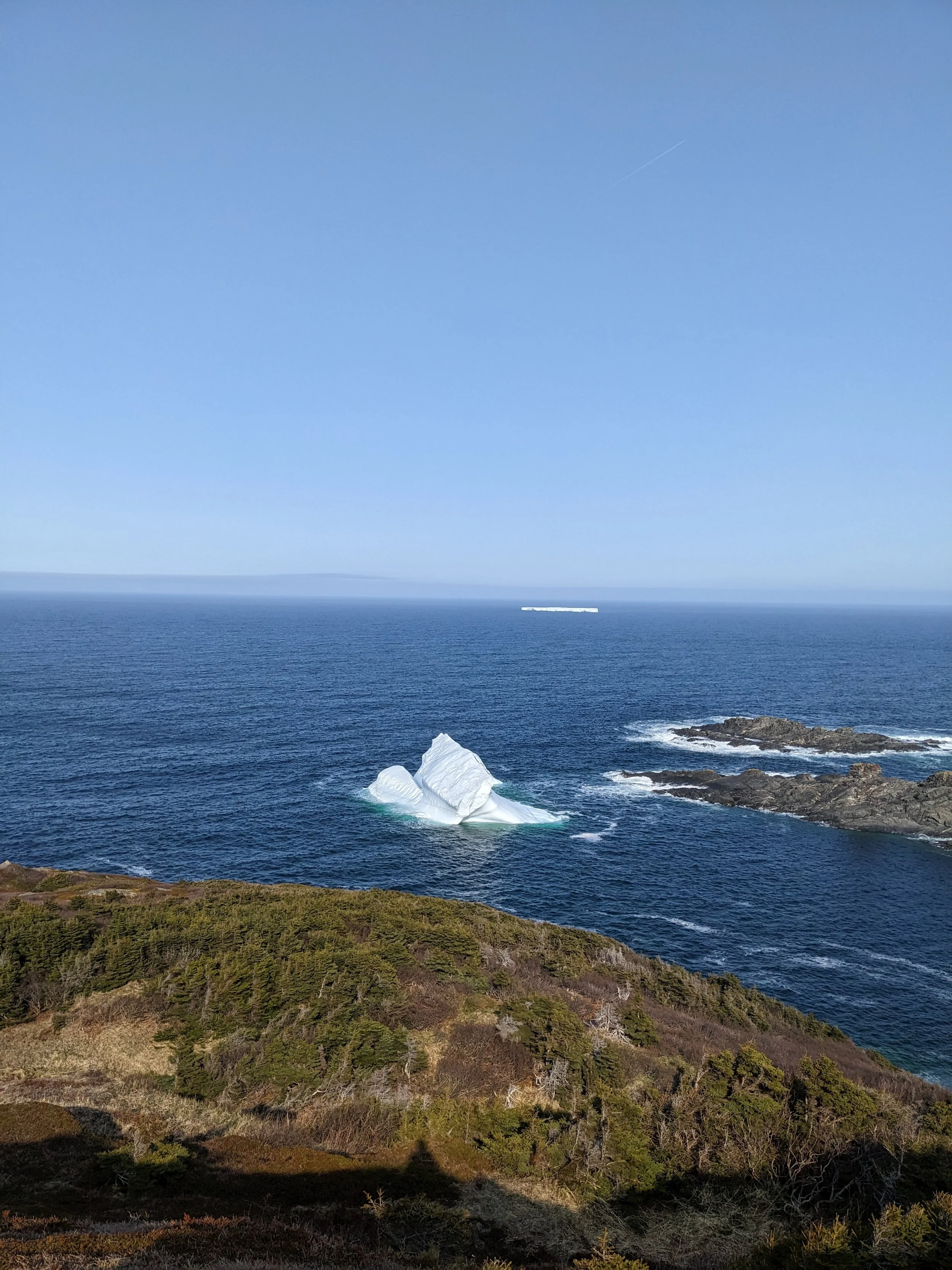 Ocean view with green hills in the foreground, a large iceberg floating in the water, and a clear blue sky above.